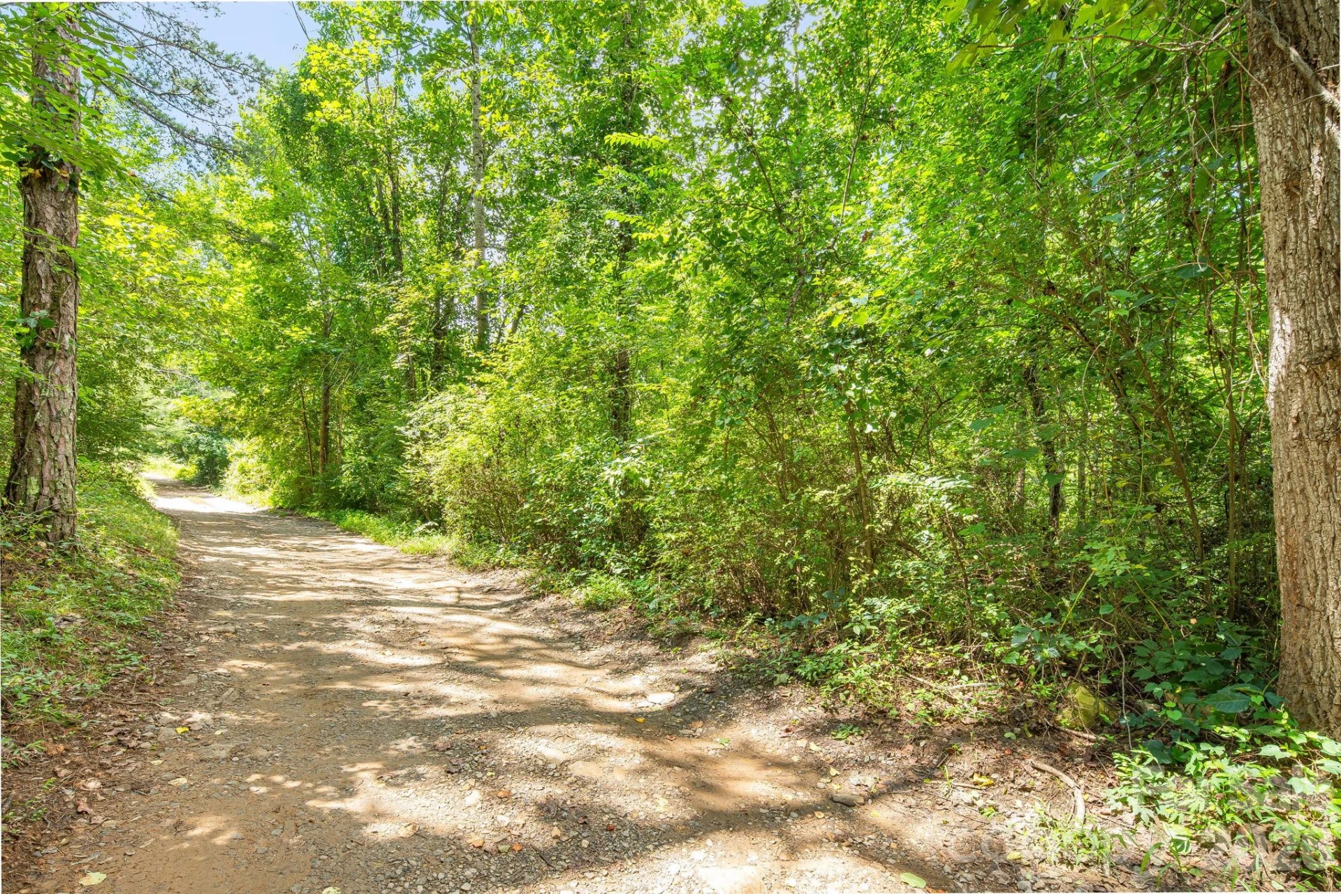 99999 Mid Court Drive - Photo 5