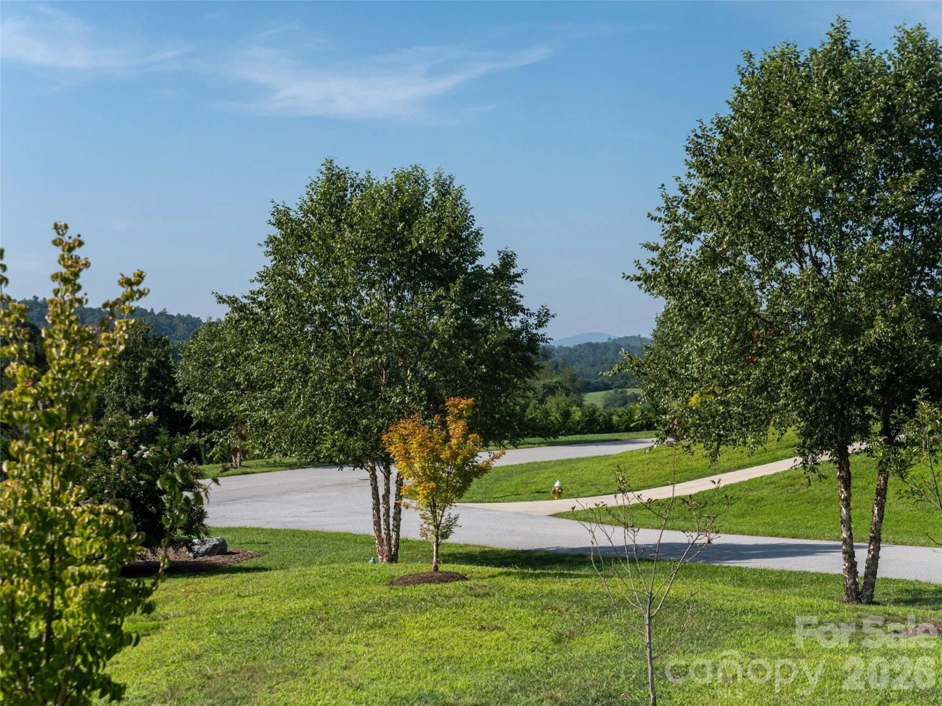 46 Solomia Drive - Photo 36
