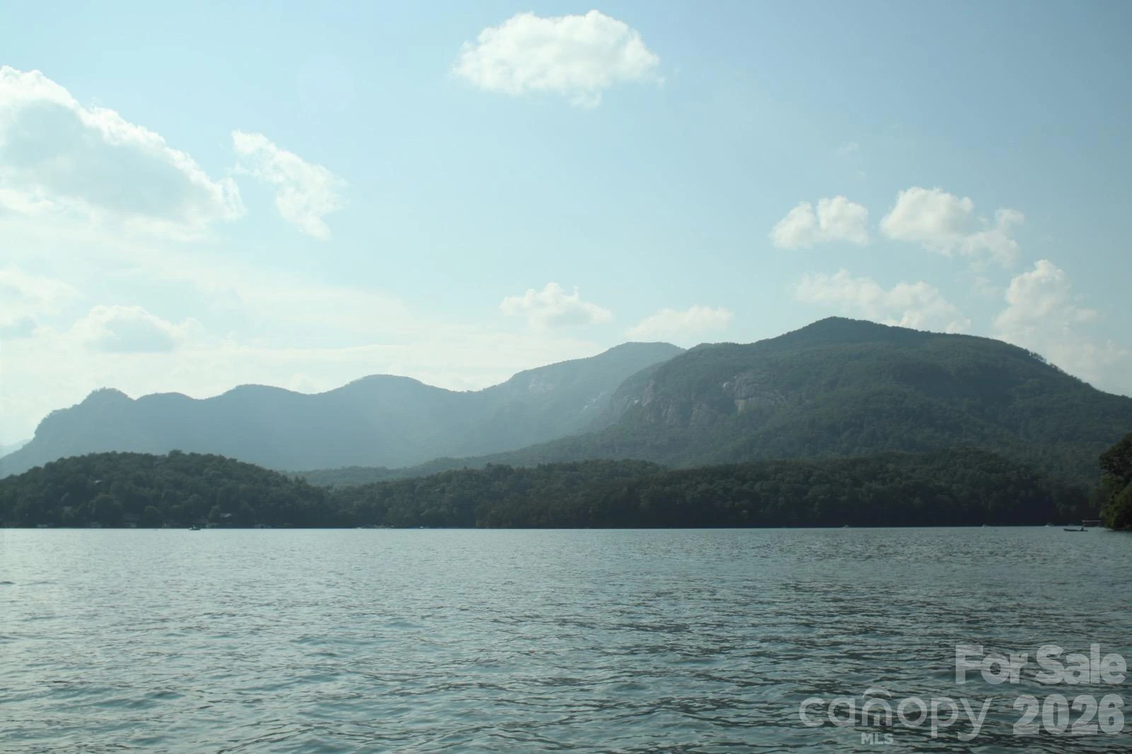 162 Stonecrest Court - Photo 33