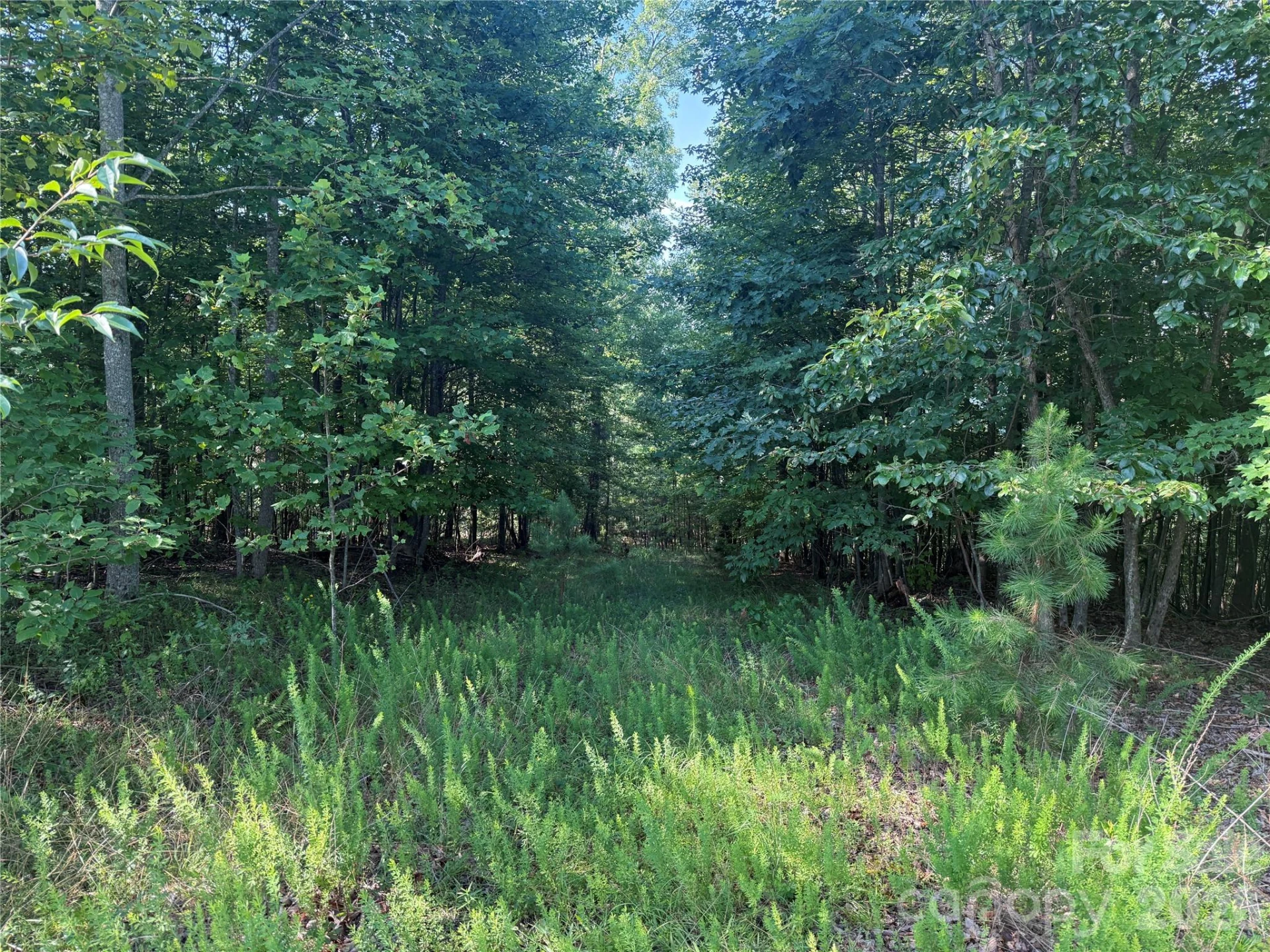 V/L Scenic Vista Drive #332/333 - Photo 2