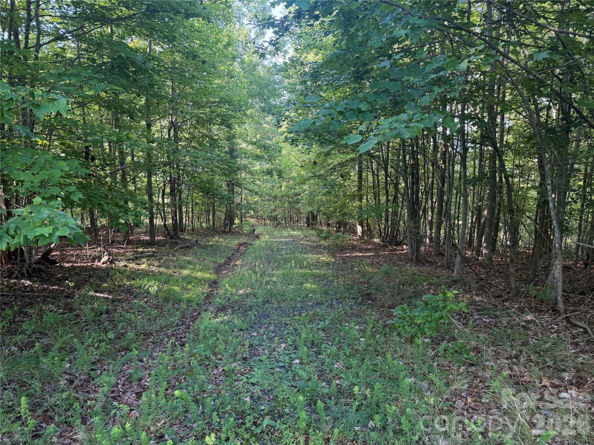 V/L Scenic Vista Drive #332/333 - Photo 3