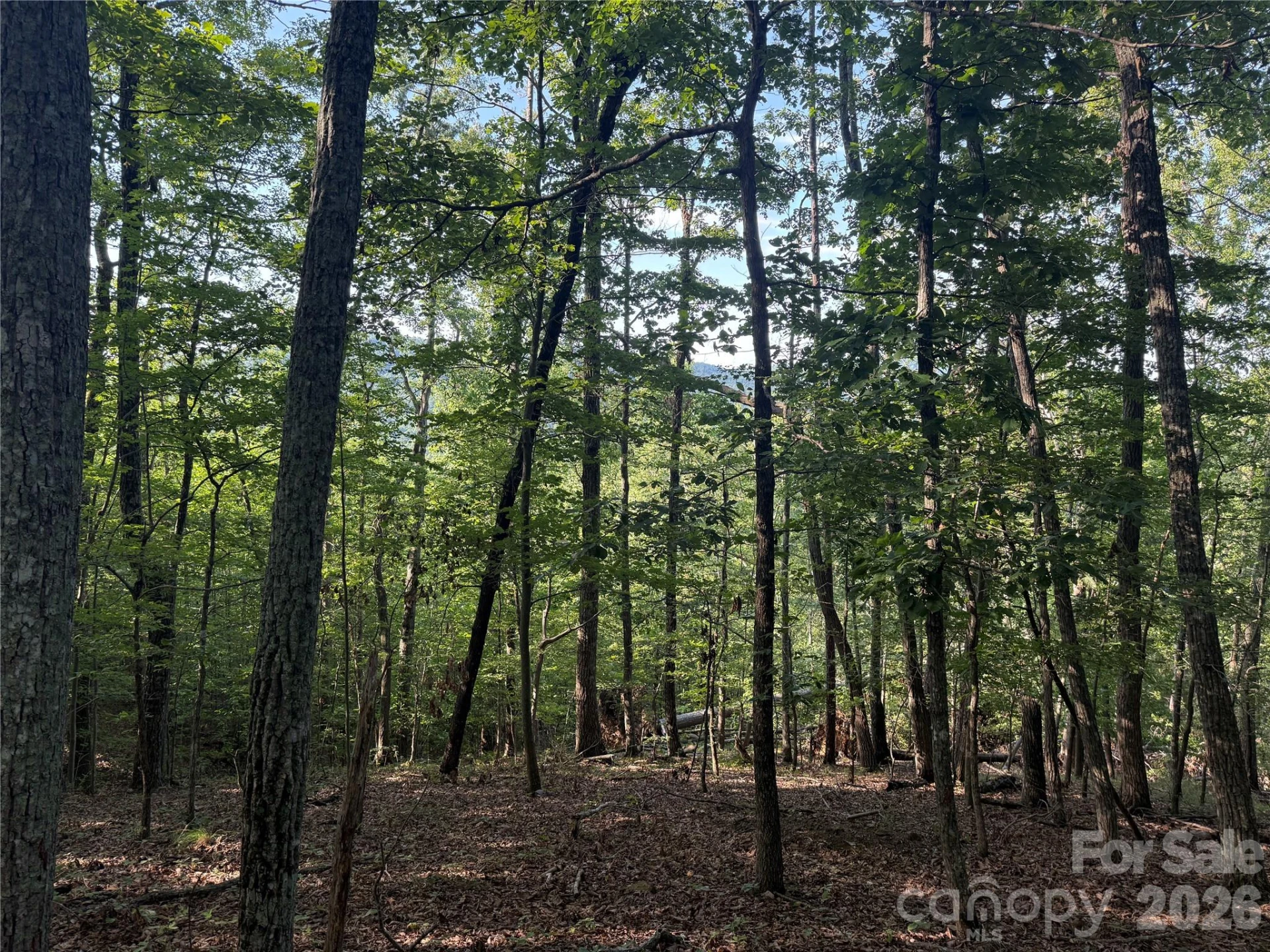V/L Scenic Vista Drive #332/333 - Photo 5