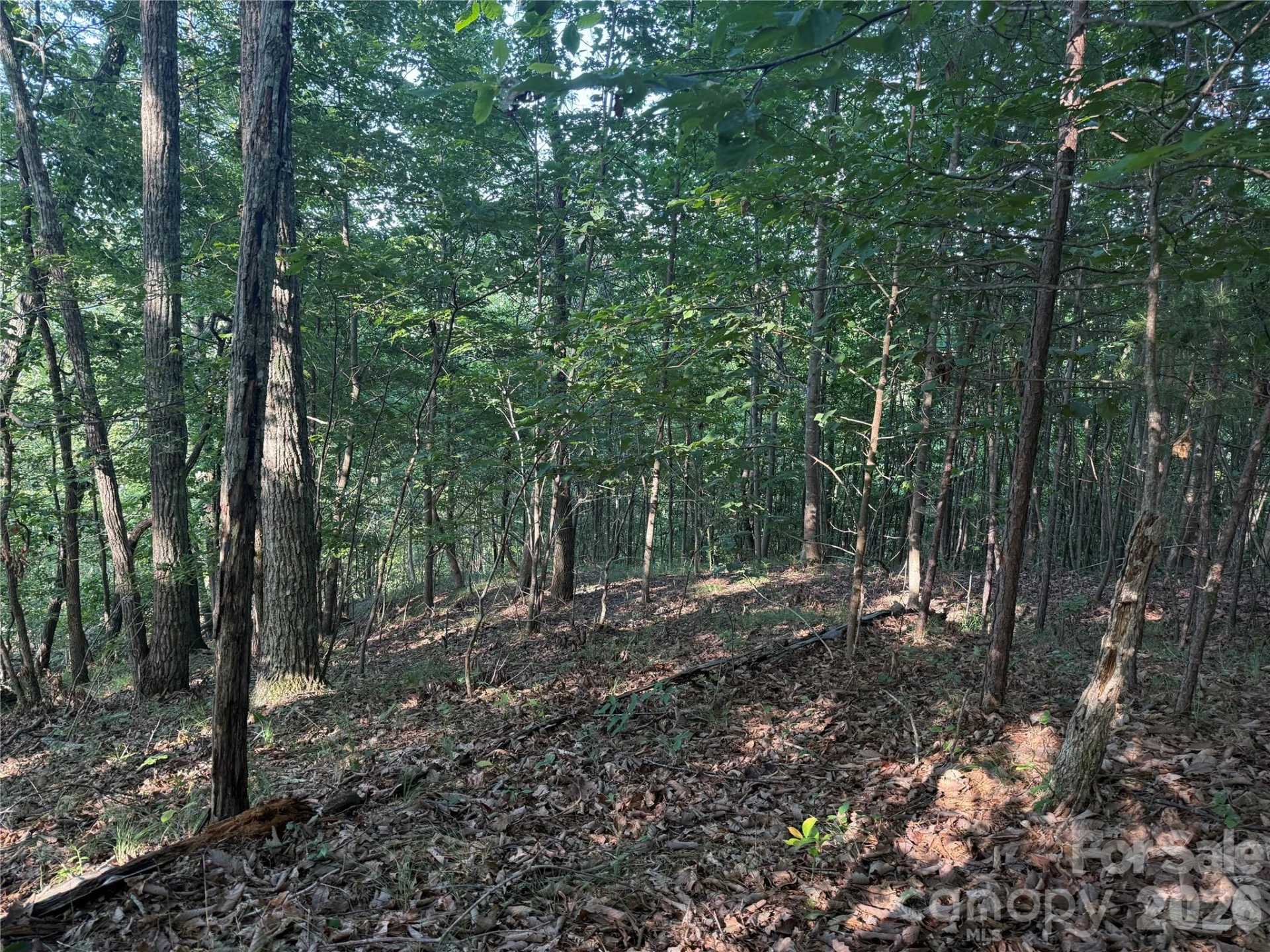 V/L Scenic Vista Drive #332/333 - Photo 8
