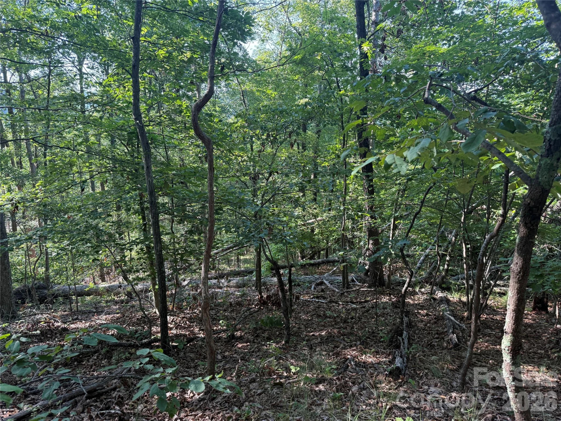 V/L Scenic Vista Drive #332/333 - Photo 11