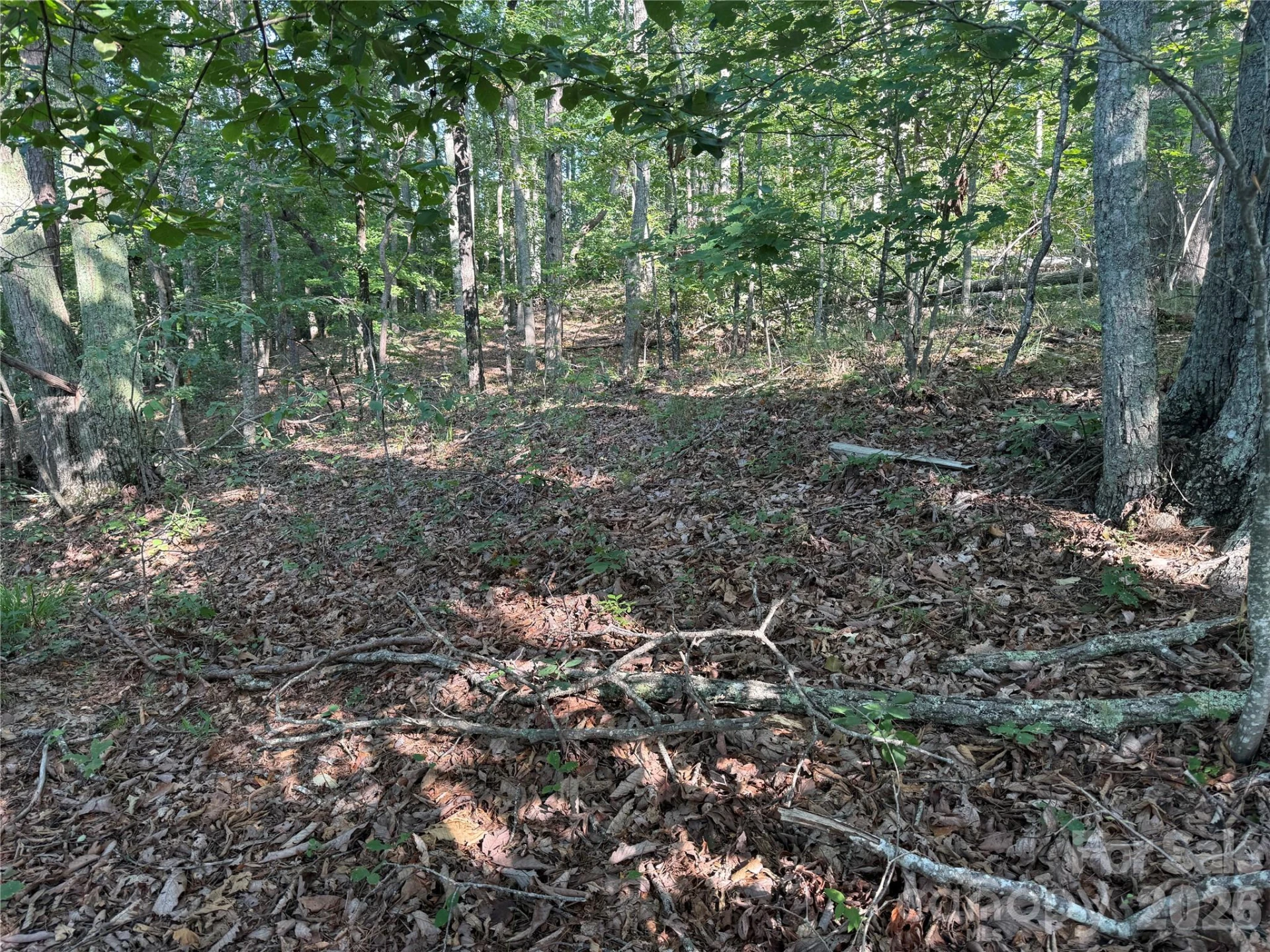 V/L Scenic Vista Drive #332/333 - Photo 12
