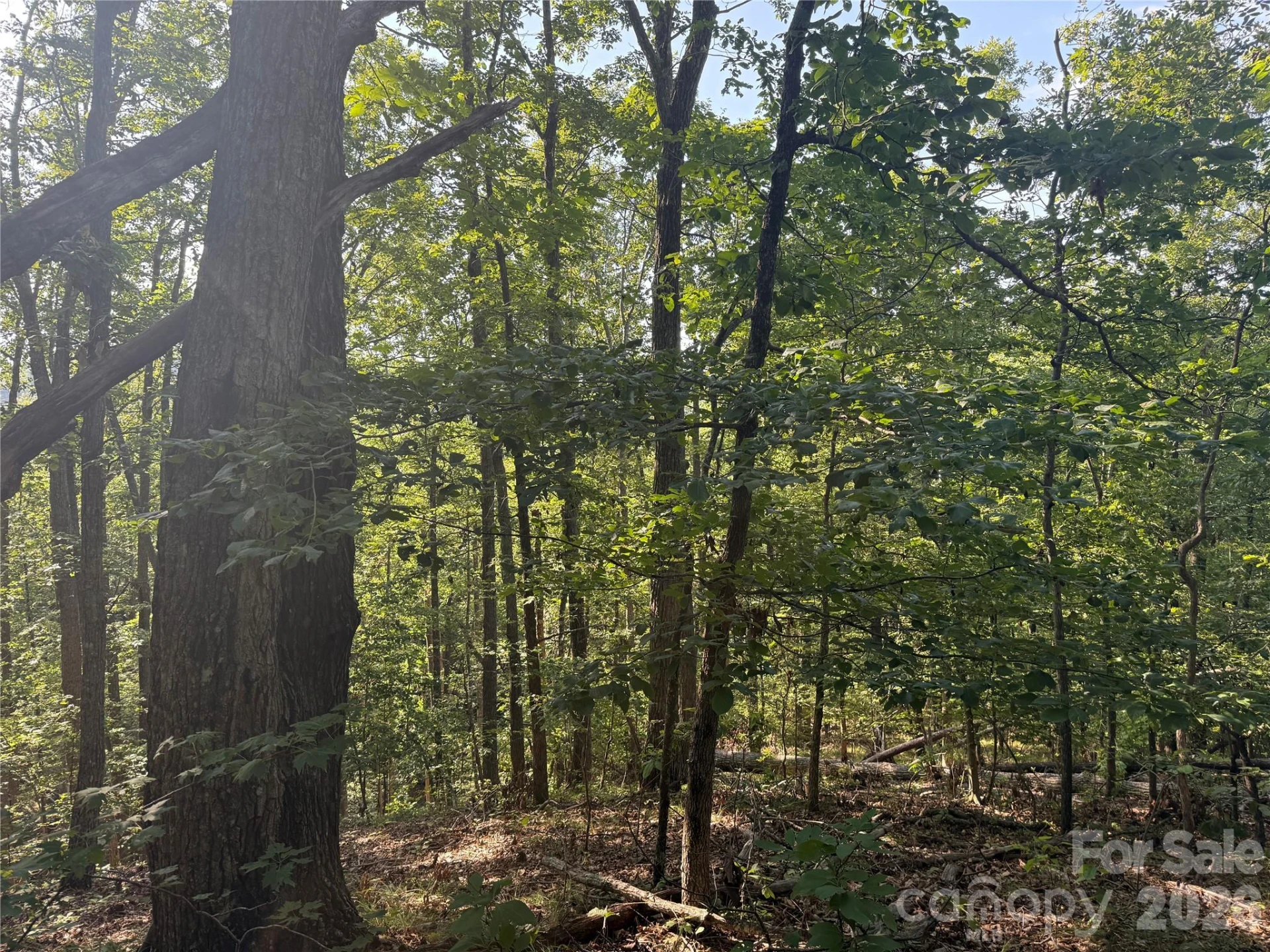 V/L Scenic Vista Drive #332/333 - Photo 13