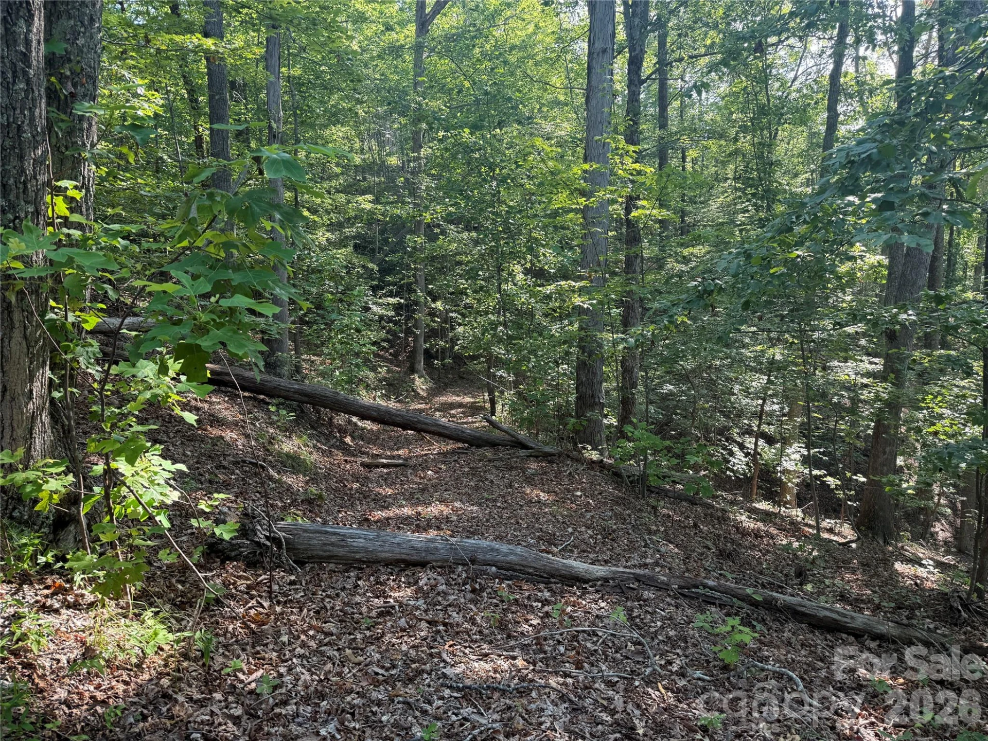 V/L Scenic Vista Drive #332/333 - Photo 14