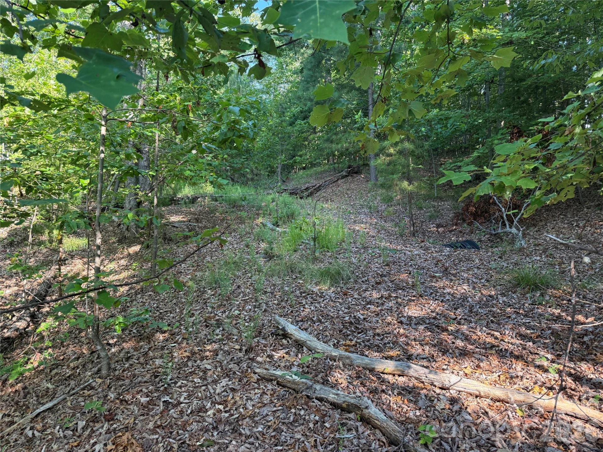 V/L Scenic Vista Drive #332/333 - Photo 17