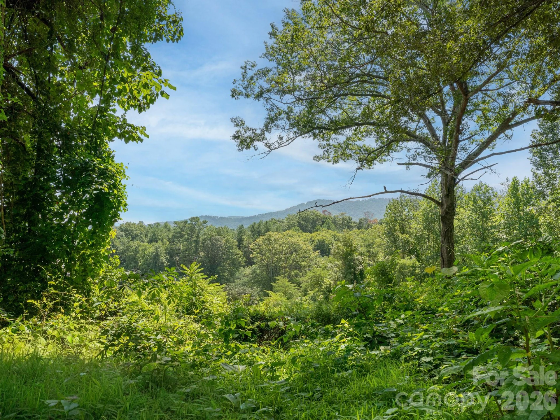 195 Shiloh Road - Photo 30