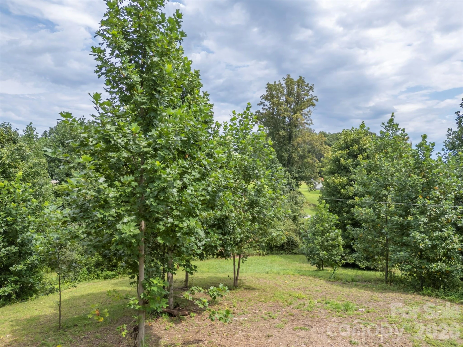 375 E King Street - Photo 38