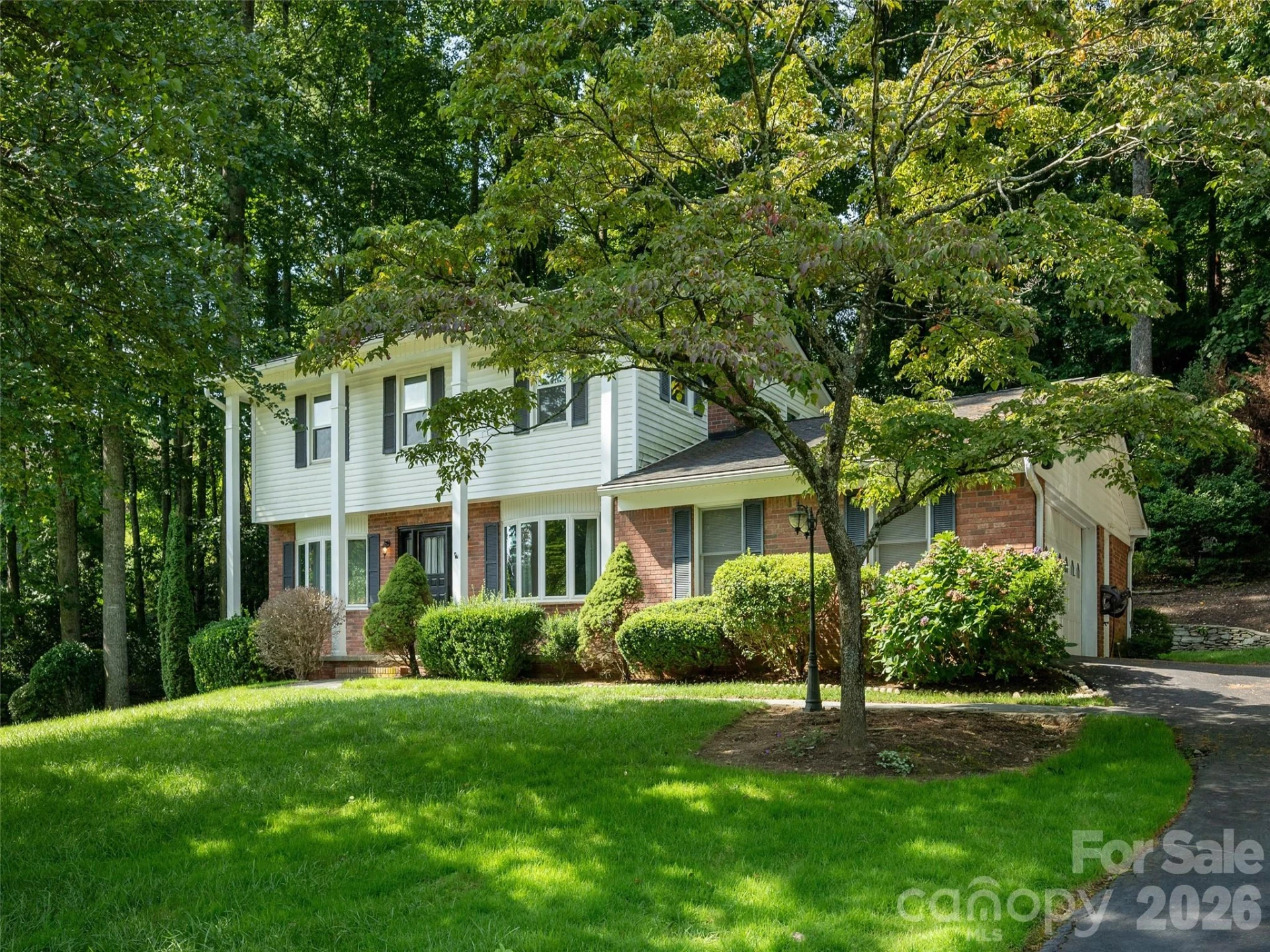211 Ginseng Lane