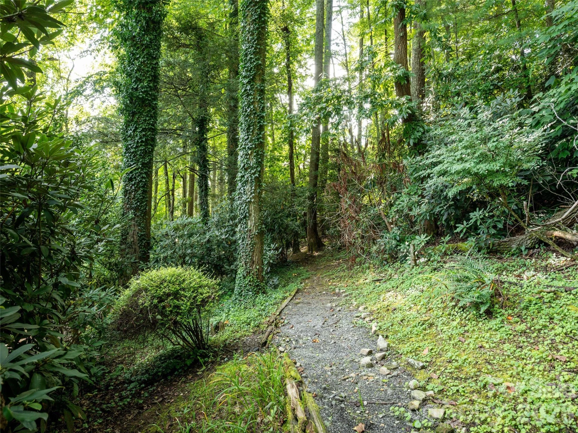 211 Ginseng Lane - Photo 36