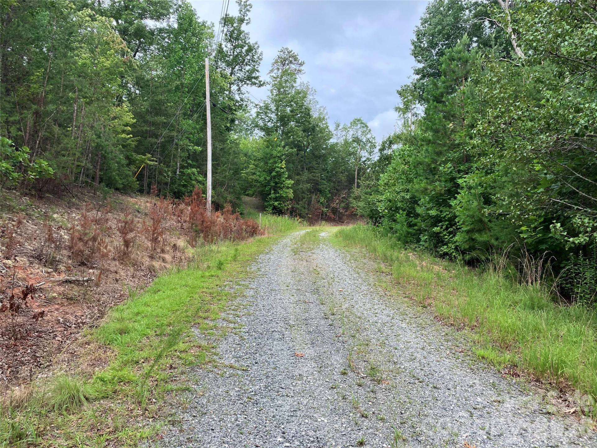 00 Tyler Terrace #Lot 11 - Photo 2