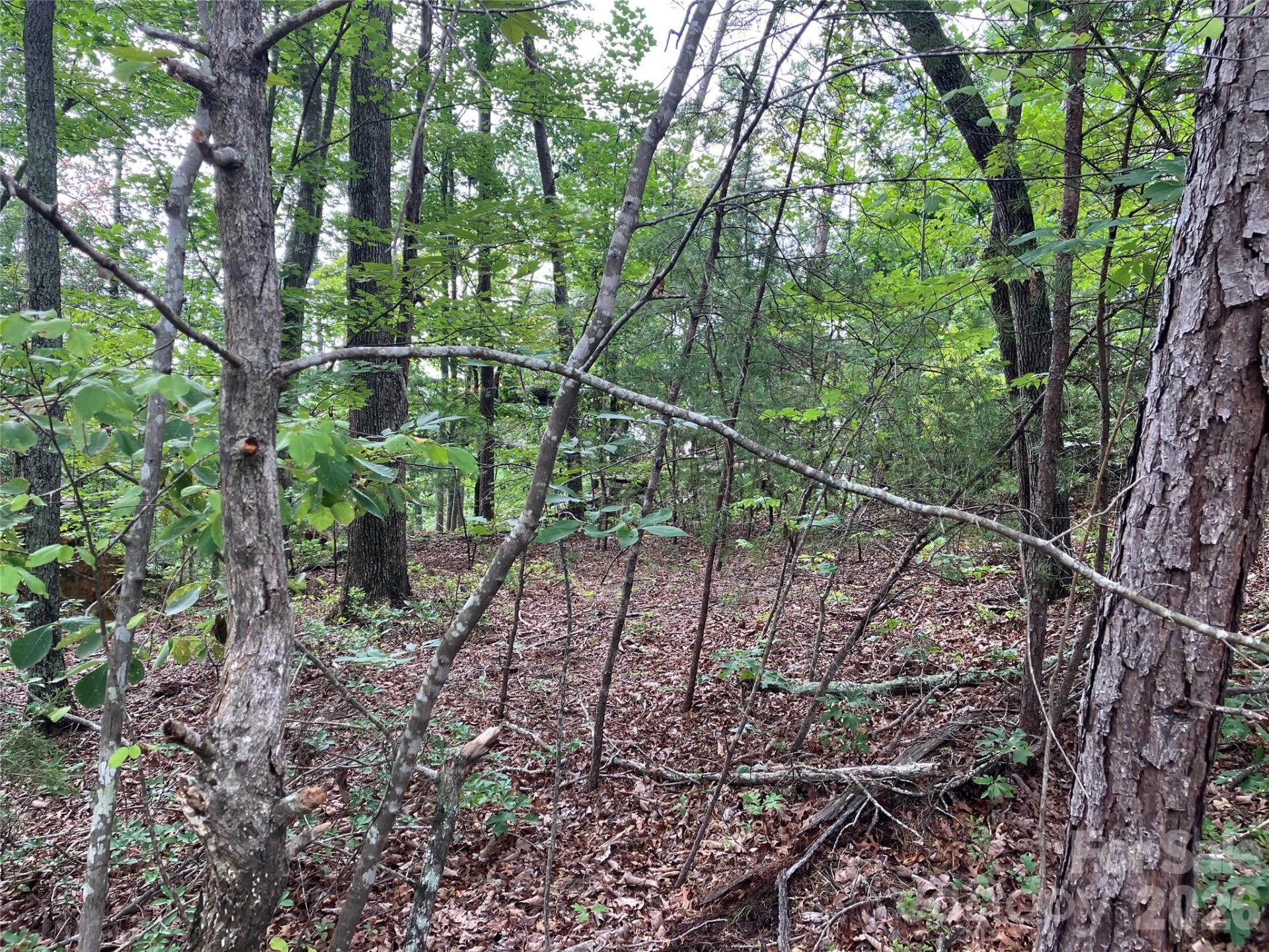 00 Tyler Terrace #Lot 11 - Photo 3