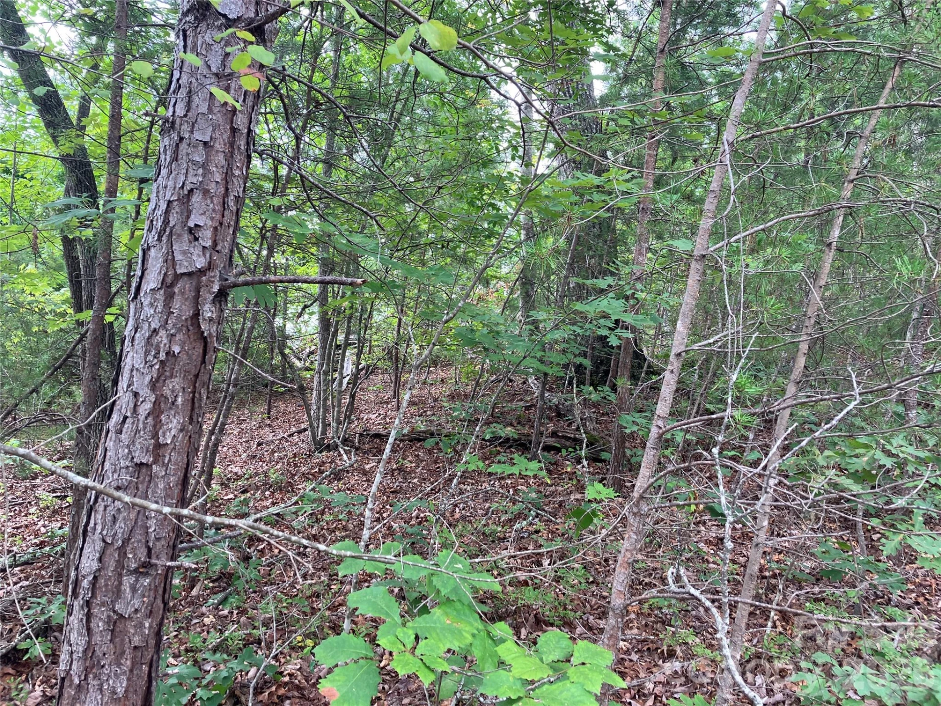 00 Tyler Terrace #Lot 11 - Photo 4