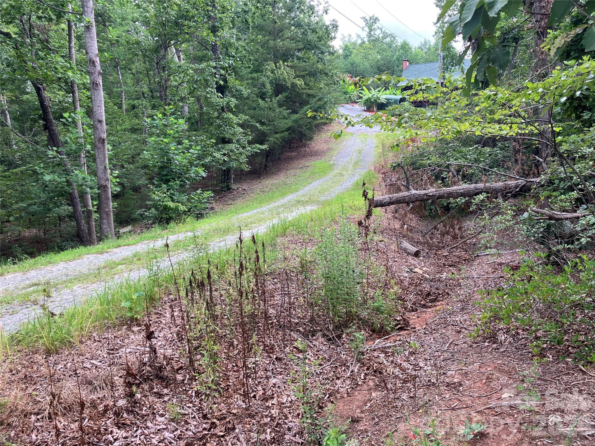 00 Tyler Terrace #Lot 11 - Photo 8