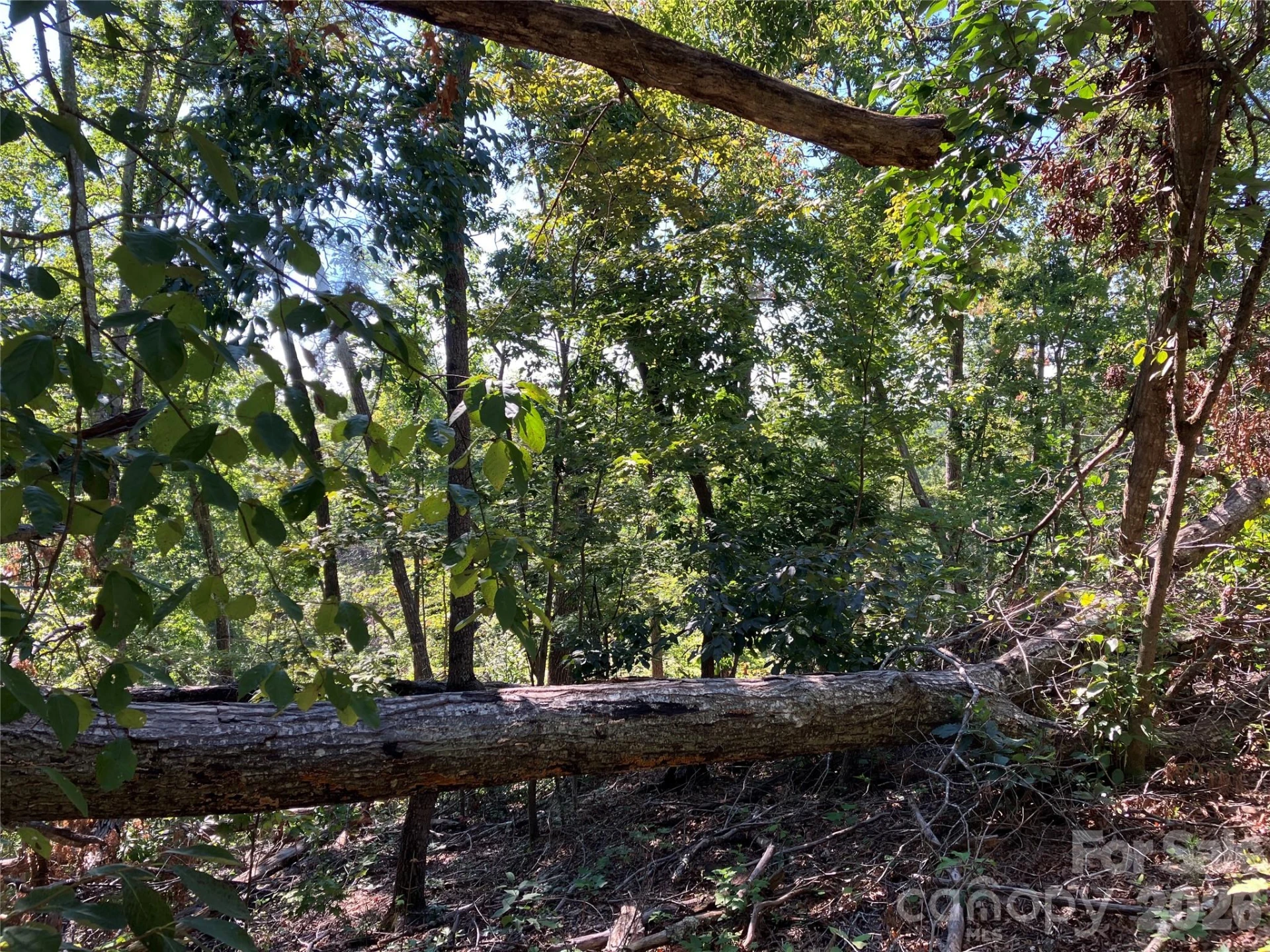00 Tyler Terrace #Lot 11 - Photo 9