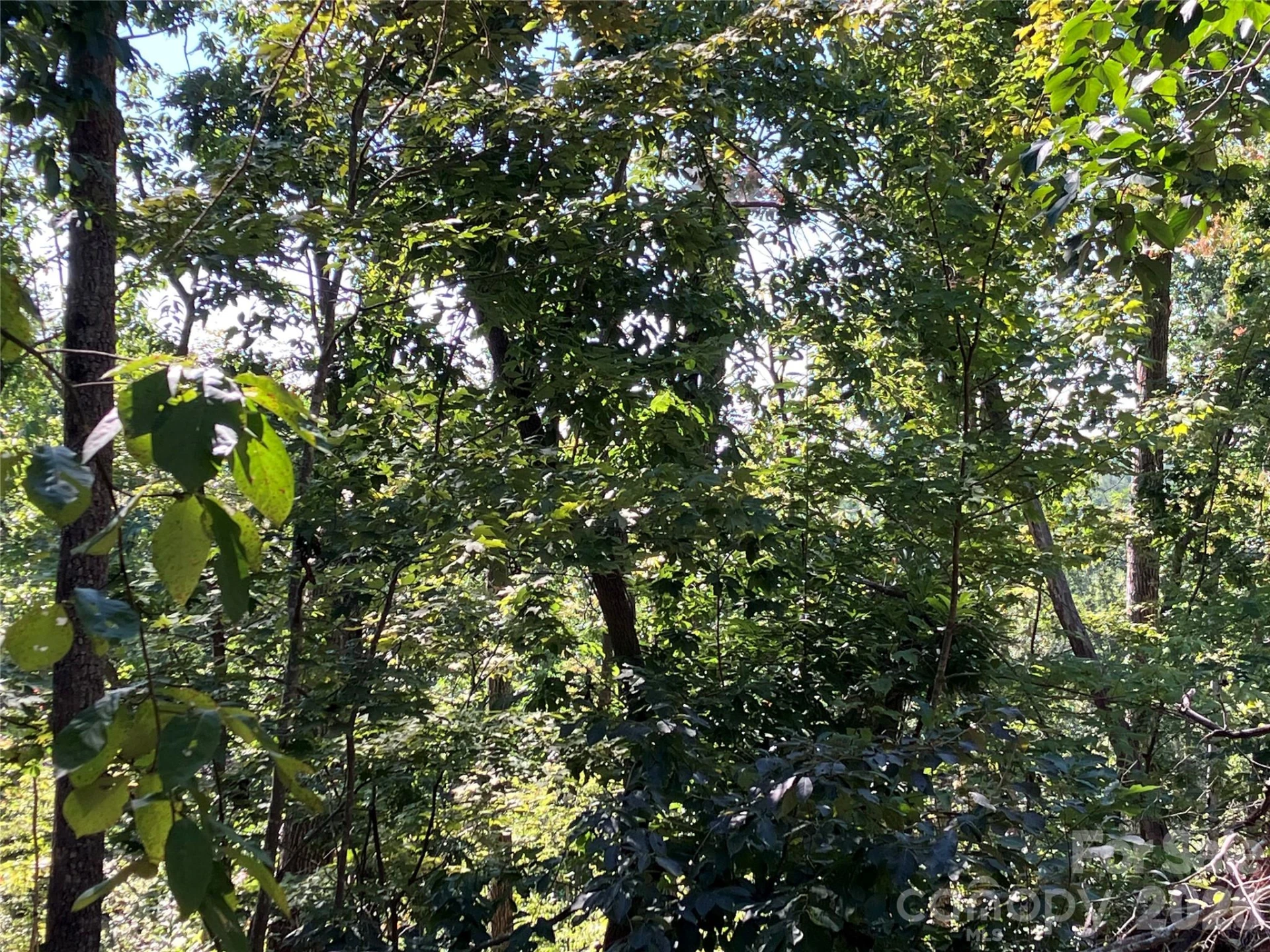 00 Tyler Terrace #Lot 11 - Photo 10