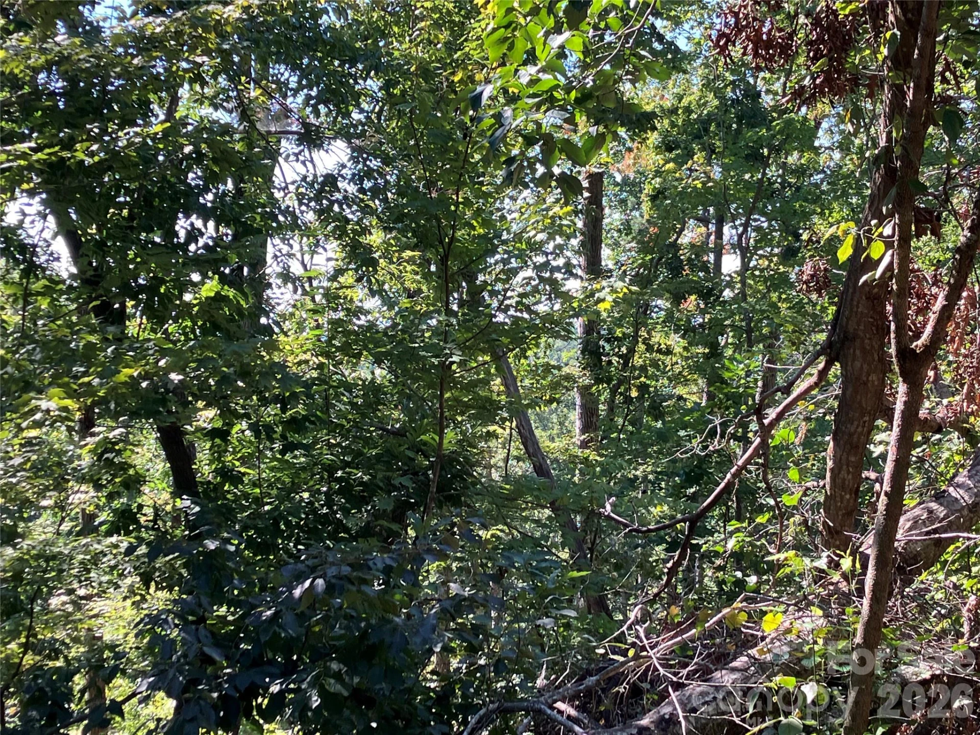 00 Tyler Terrace #Lot 11 - Photo 11