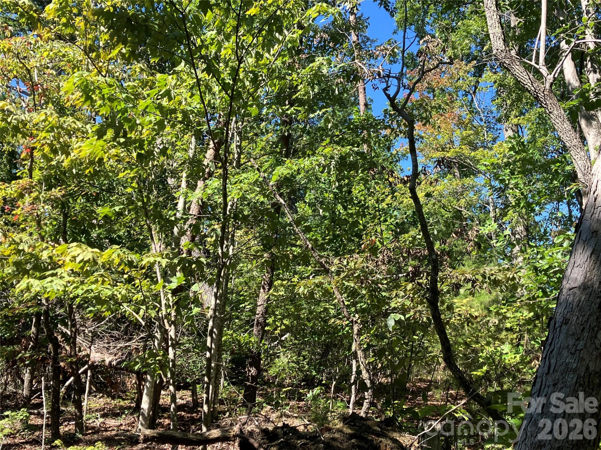 00 Tyler Terrace #Lot 11 - Photo 13