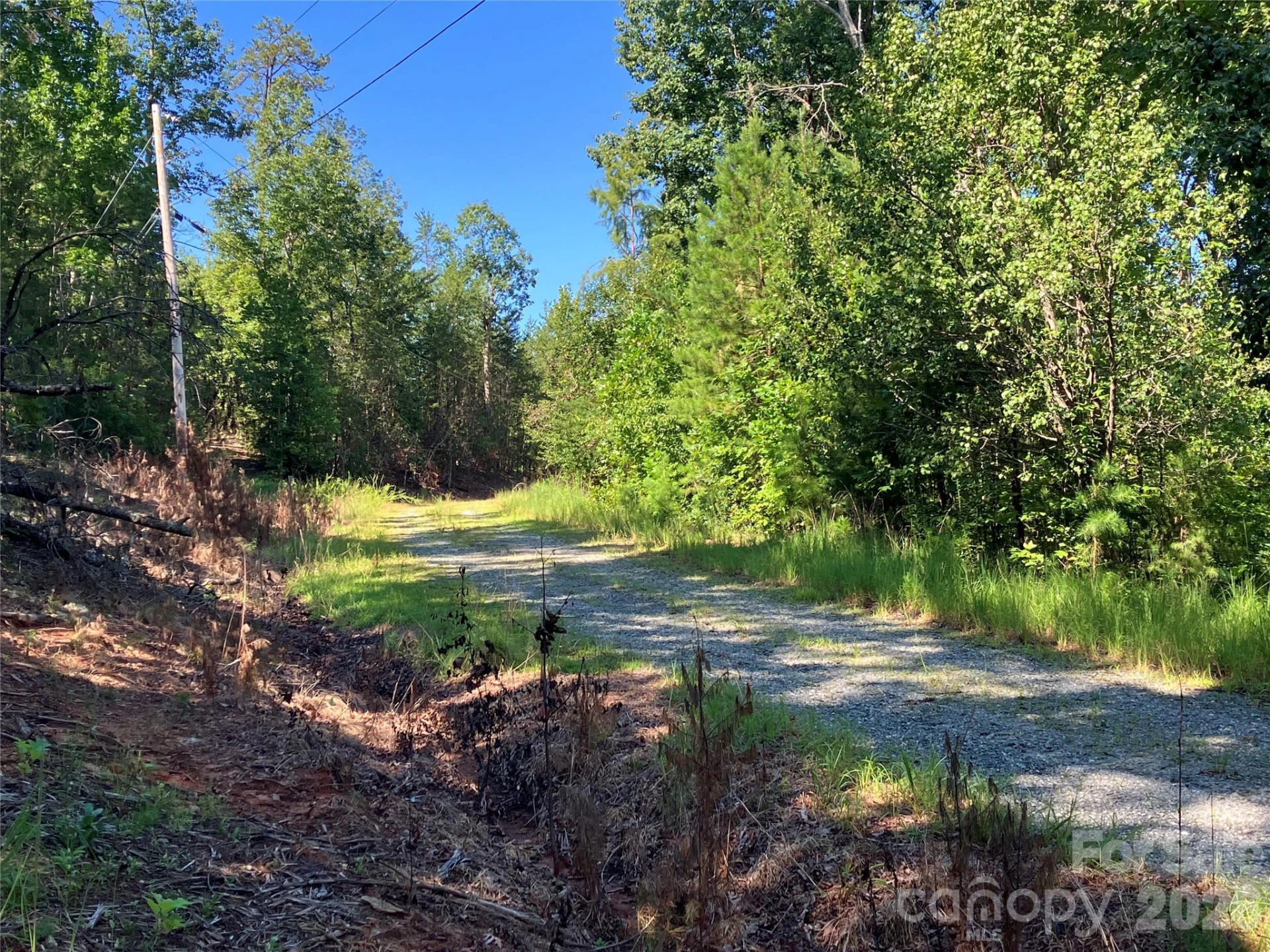 00 Tyler Terrace #Lot 11 - Photo 14