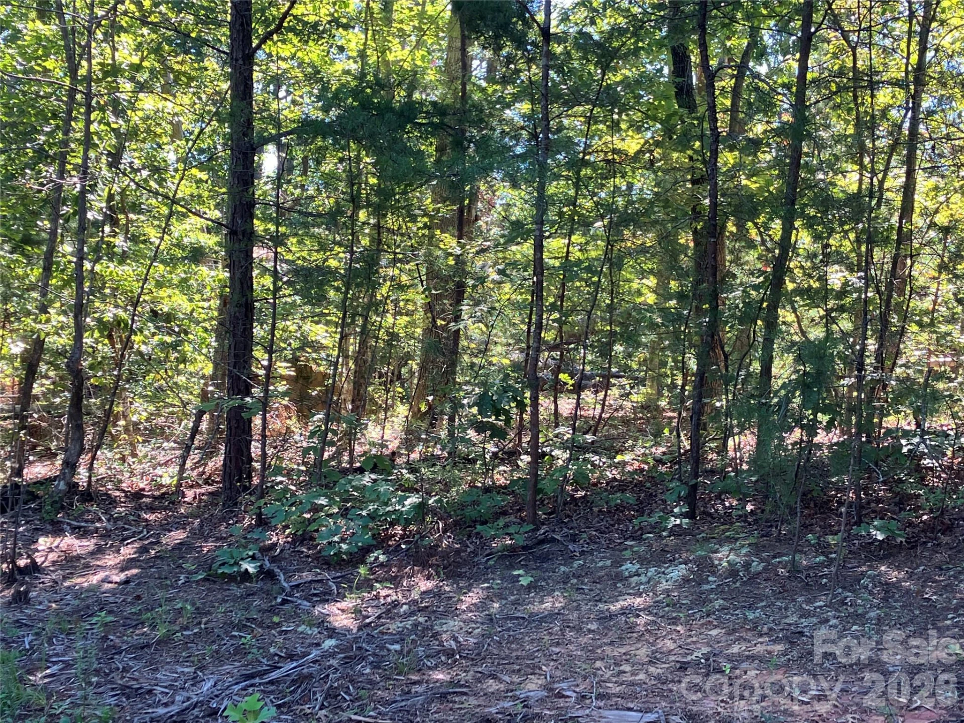 00 Tyler Terrace #Lot 11 - Photo 17