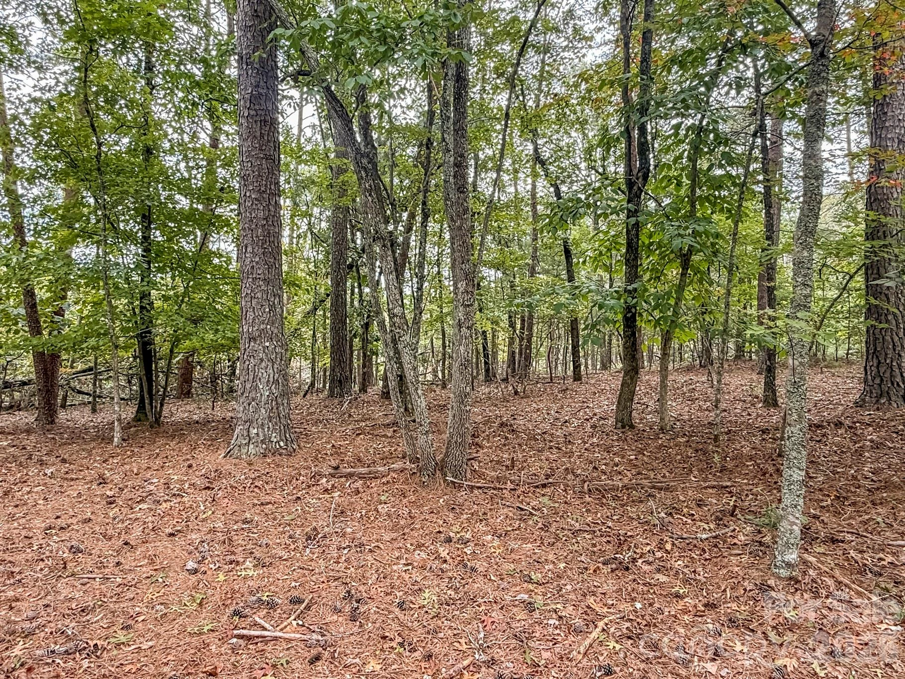 253 Nors Way - Photo 30