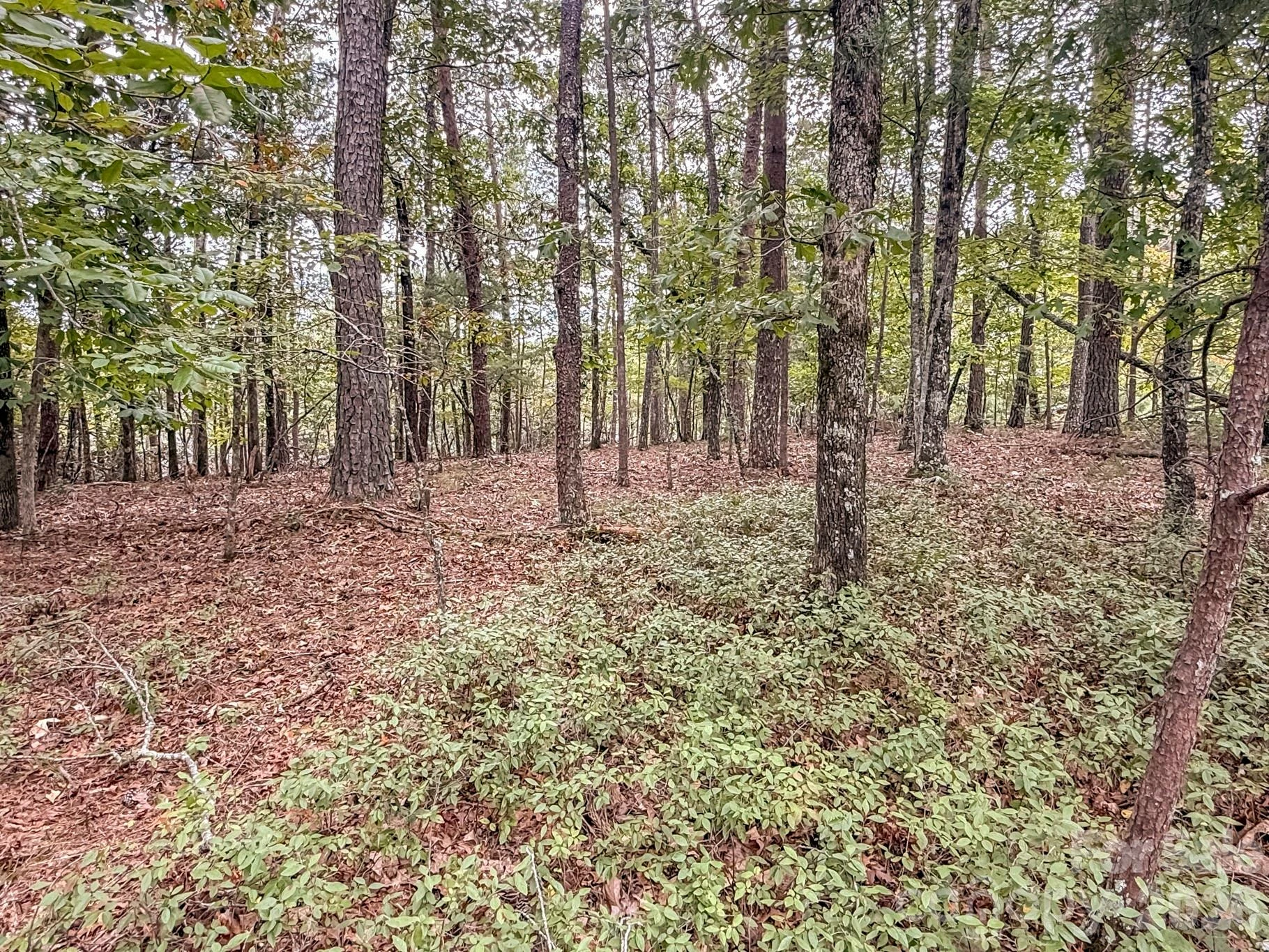 253 Nors Way - Photo 31