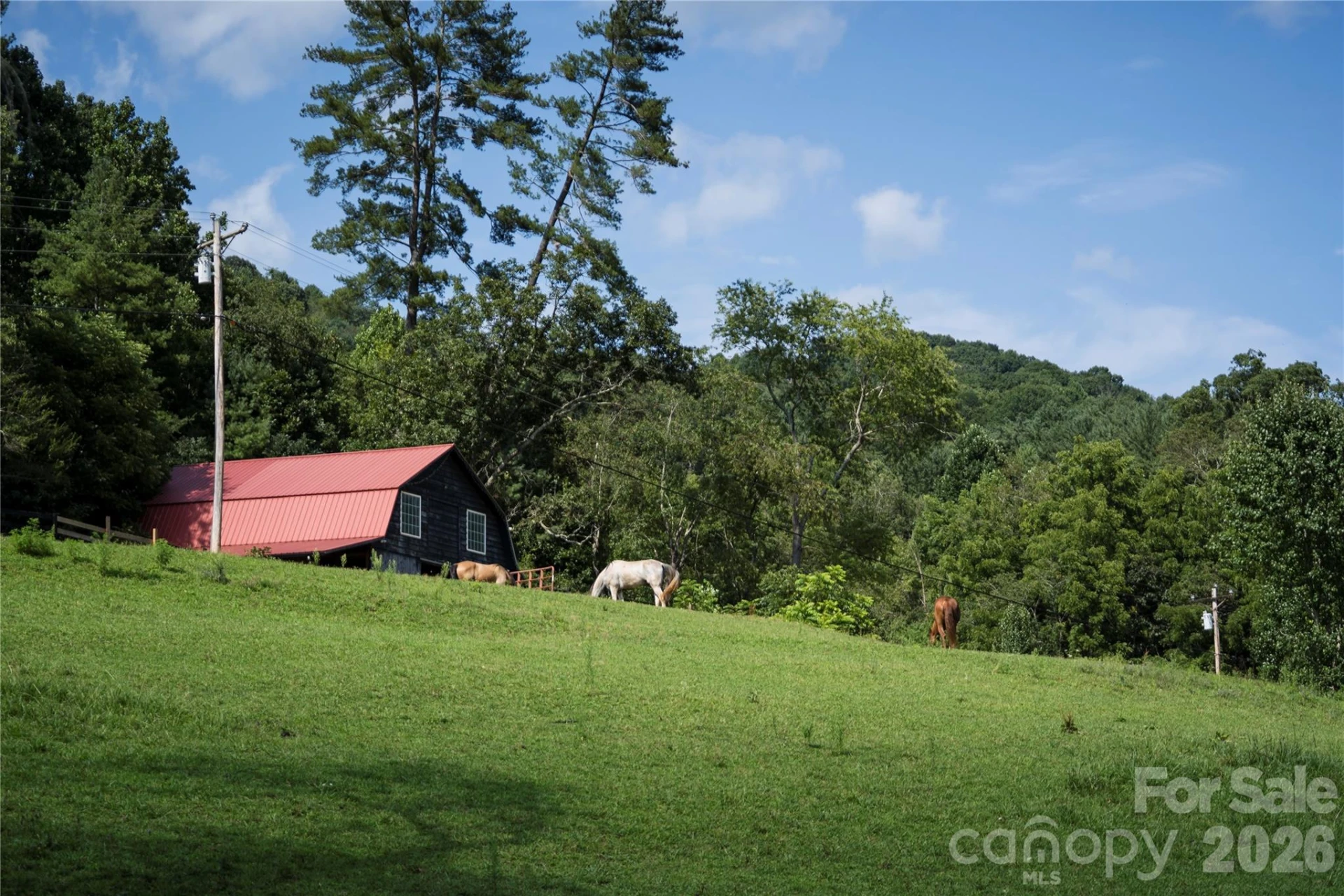 48 Silent Forest Drive - Photo 4
