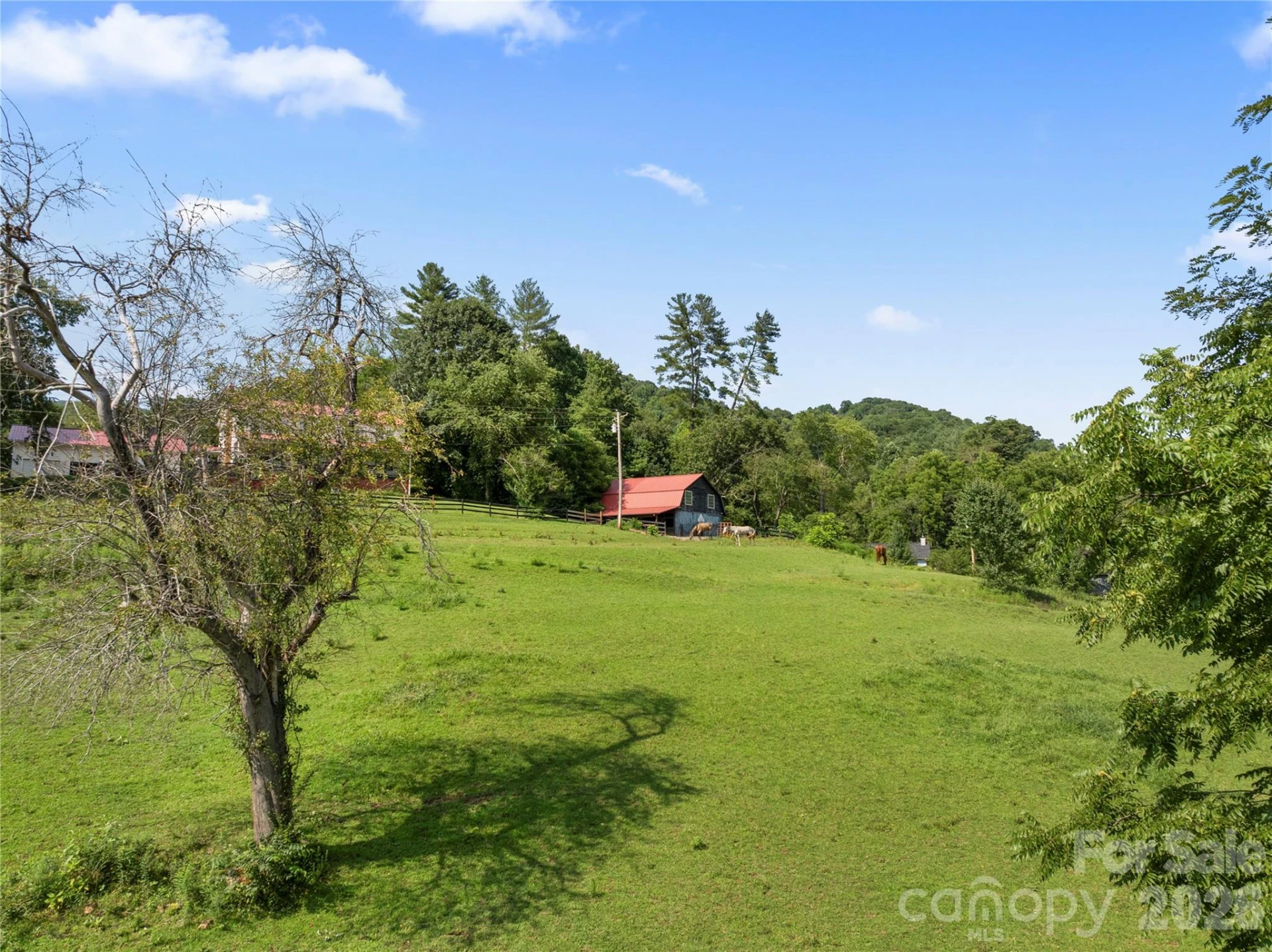 48 Silent Forest Drive - Photo 16
