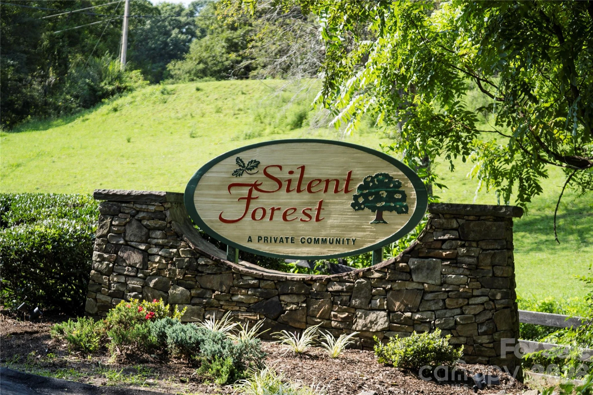 48 Silent Forest Drive - Photo 19