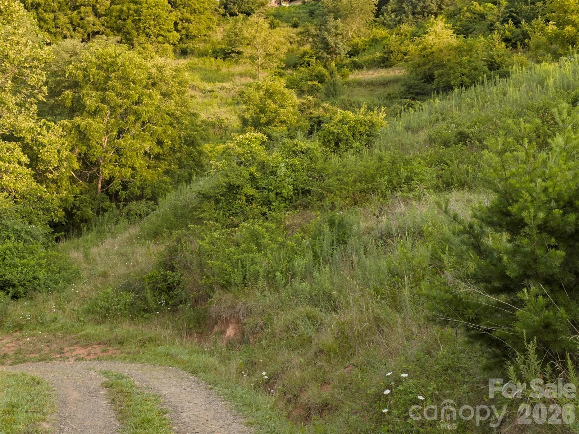 99999 Cleves Drive - Photo 5