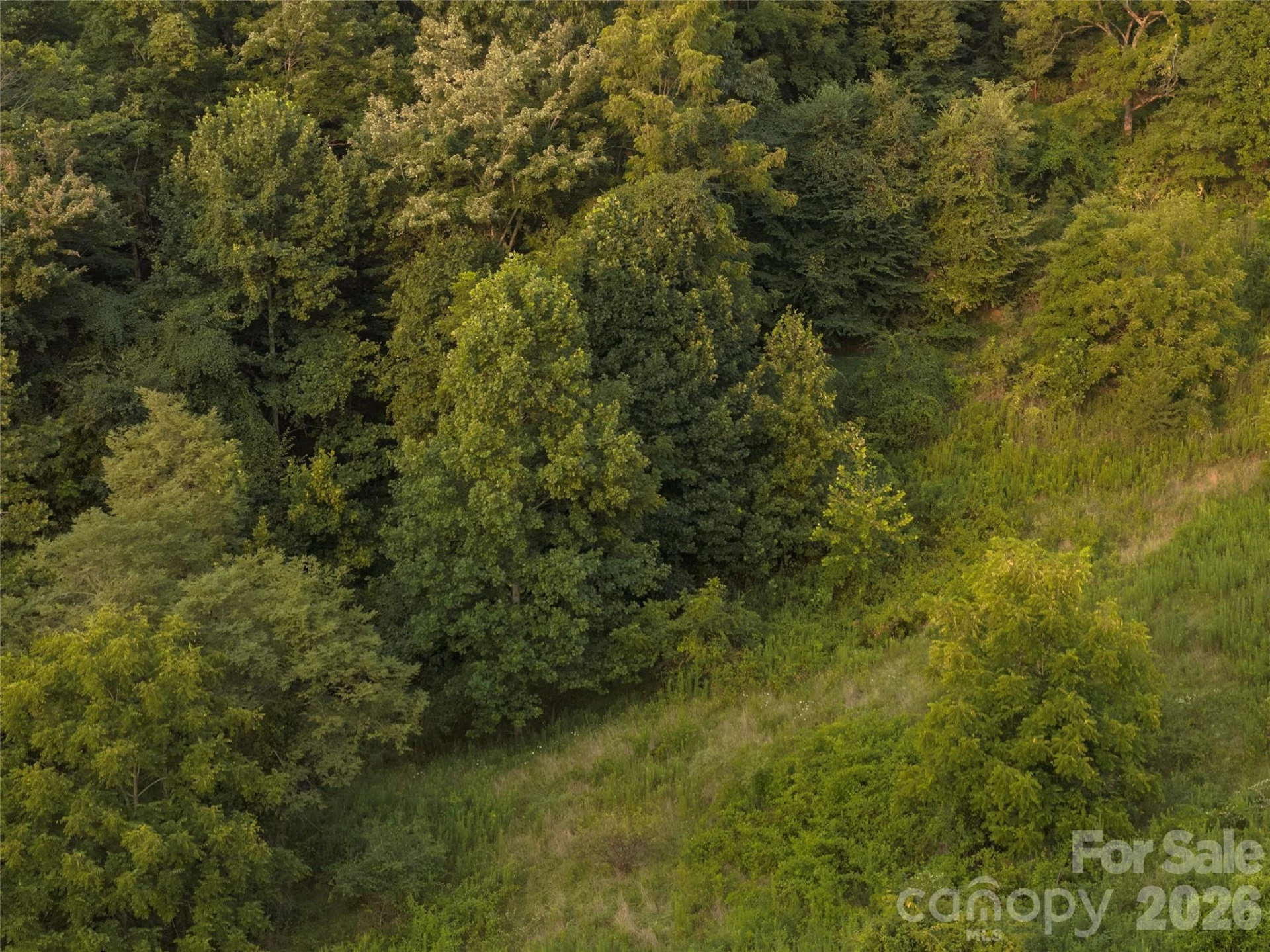 99999 Cleves Drive - Photo 15