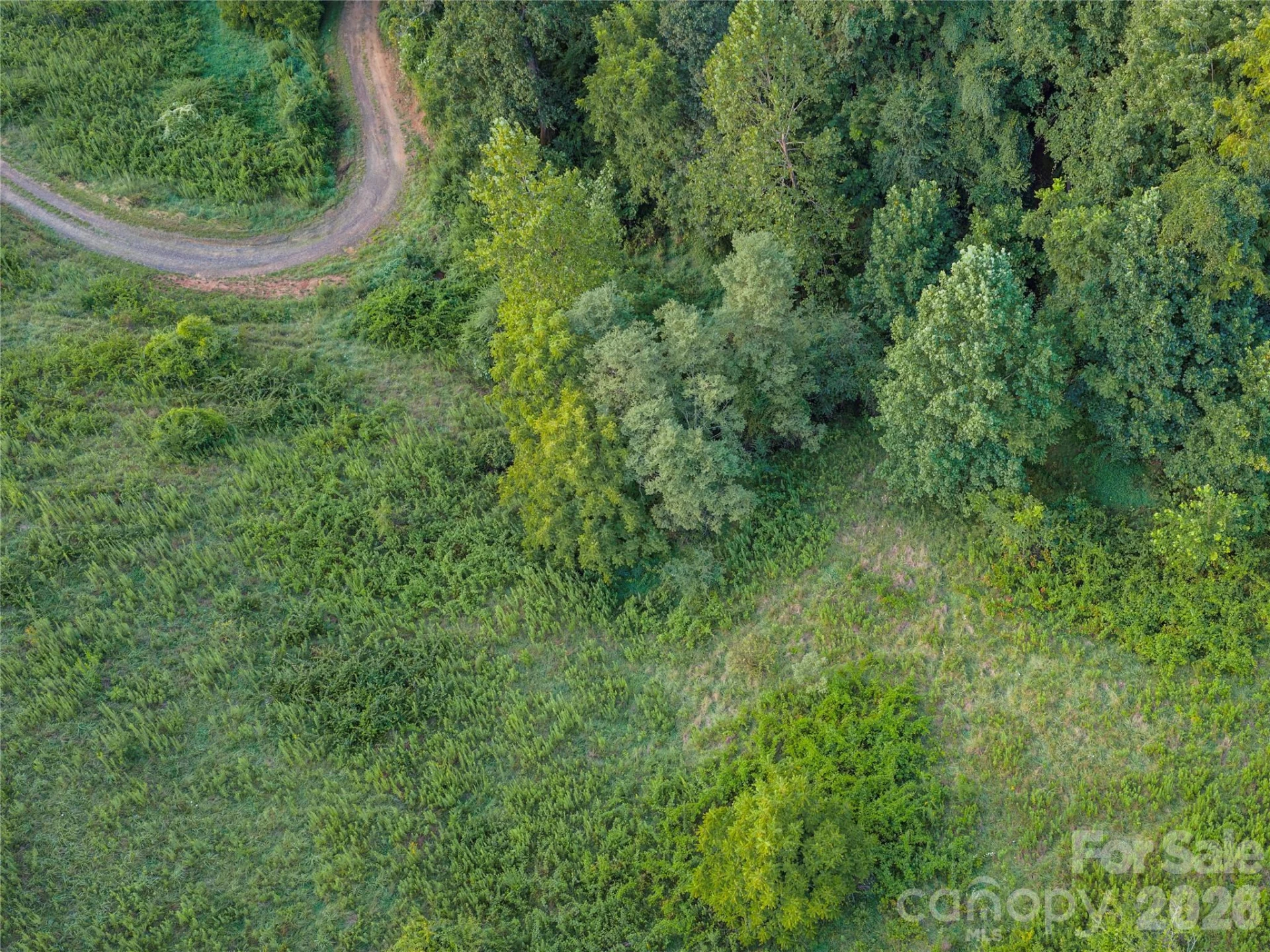 99999 Cleves Drive - Photo 21