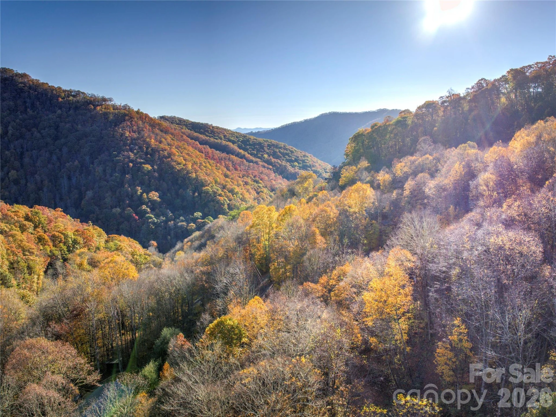 430 Long Branch Road - Photo 20