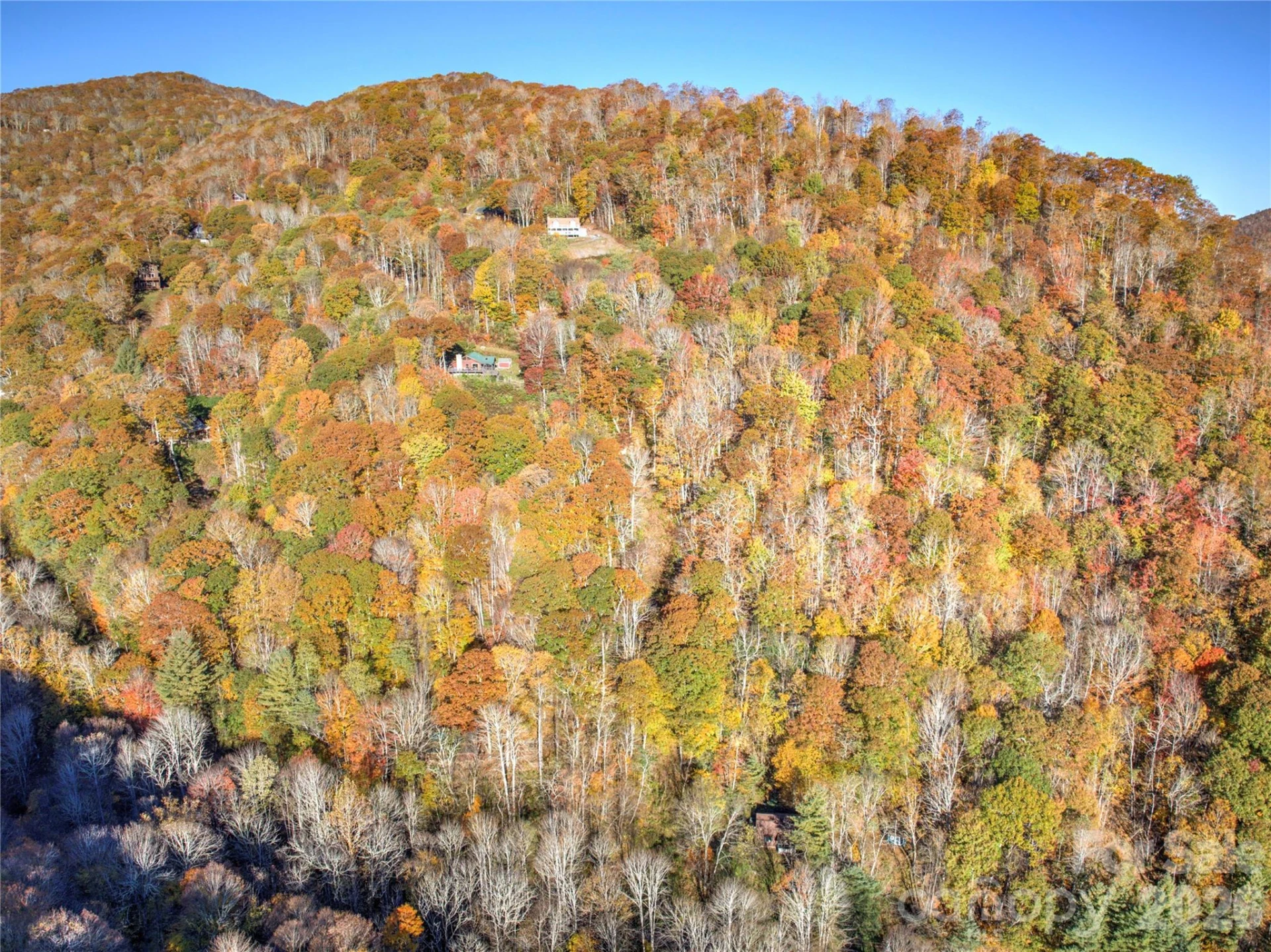 430 Long Branch Road - Photo 23