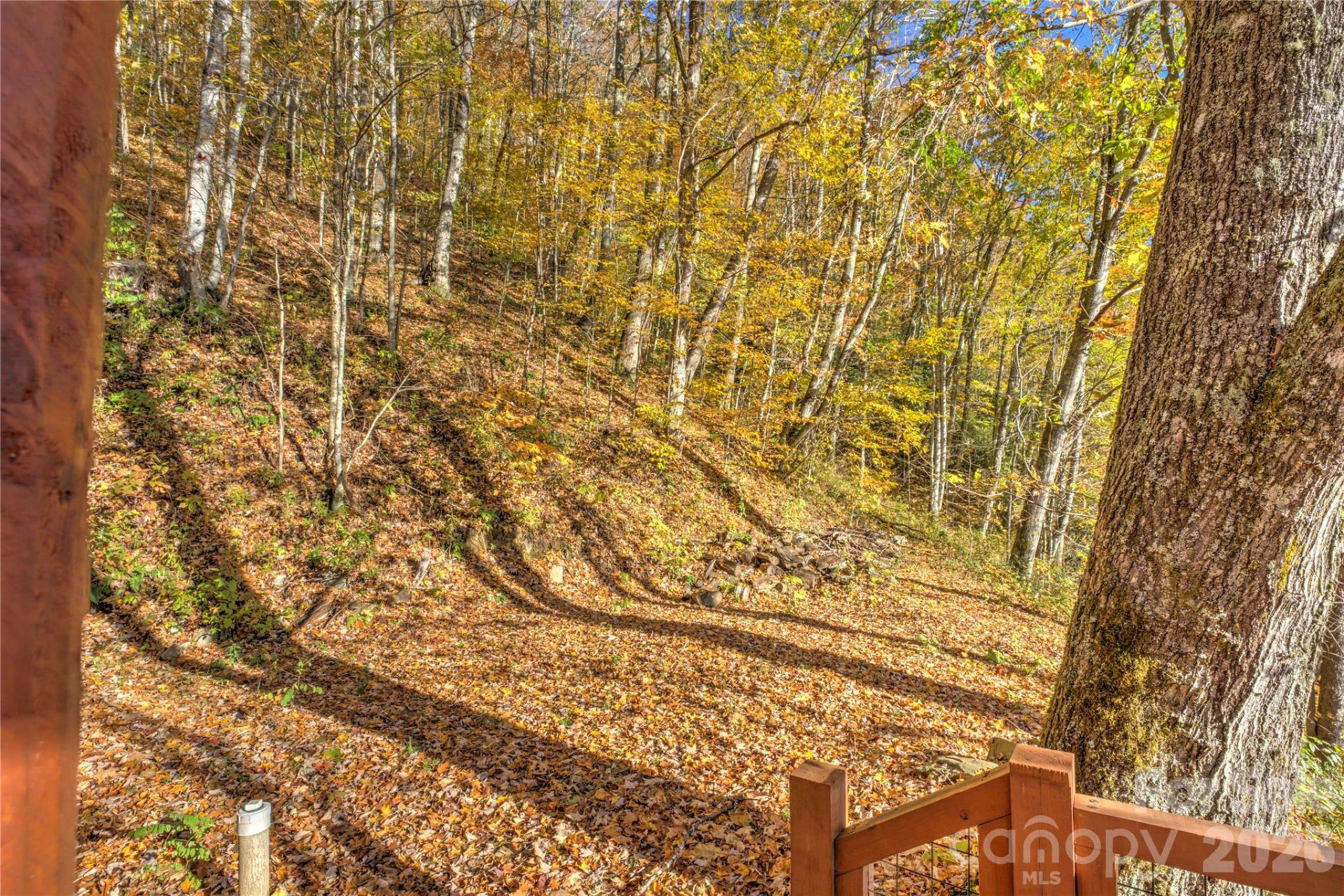 430 Long Branch Road - Photo 24
