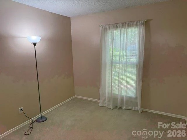 204 Scottlynn Drive - Photo 14