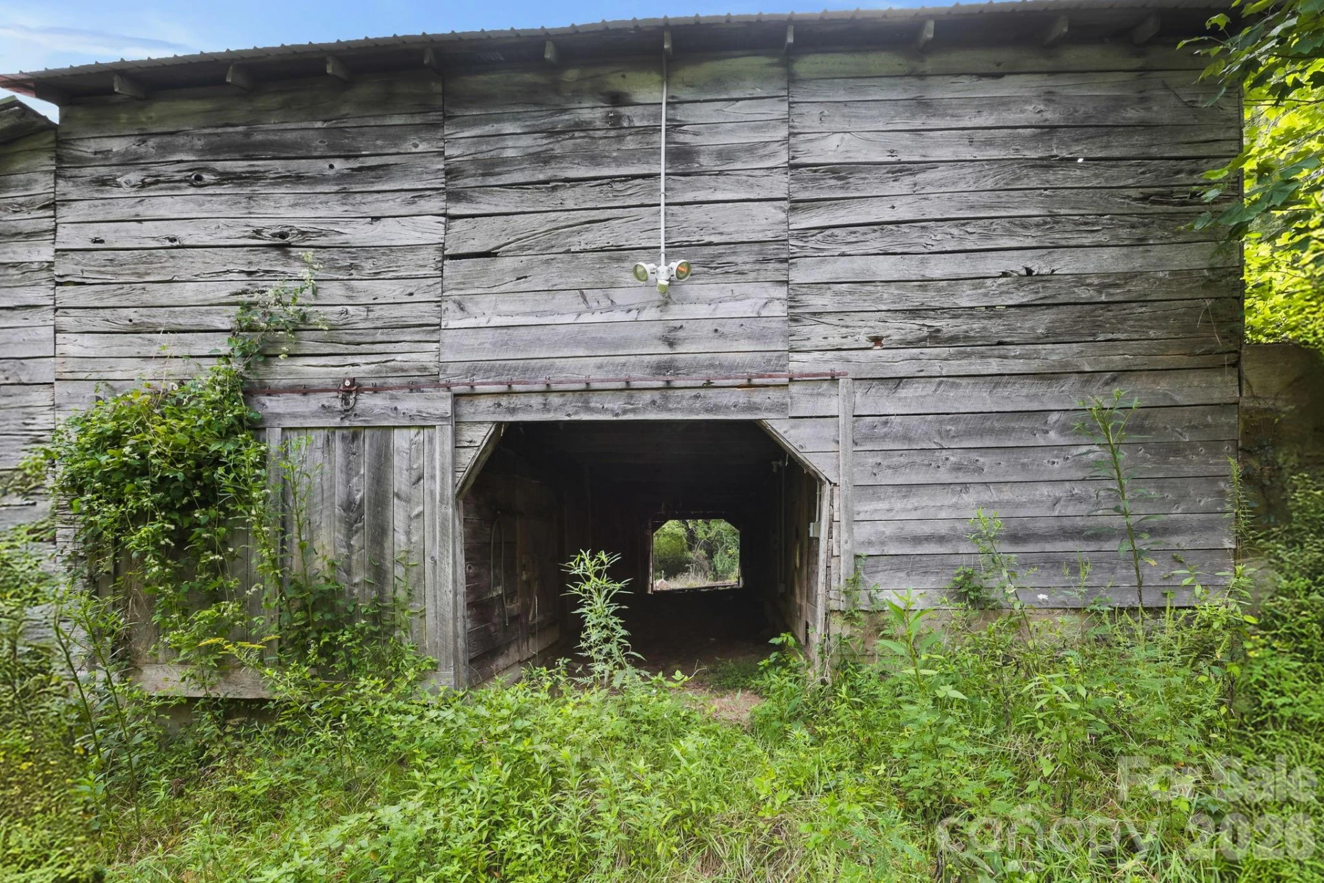 1545 North Fork Road - Photo 6