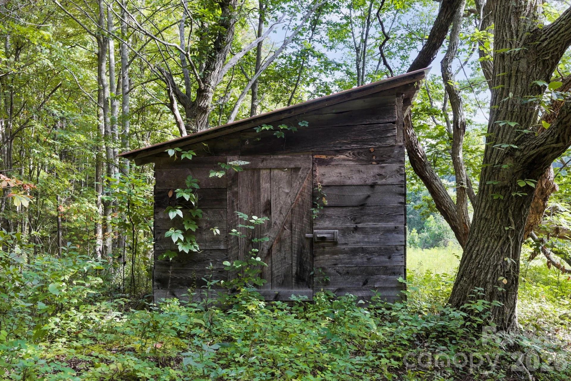 1545 North Fork Road - Photo 11