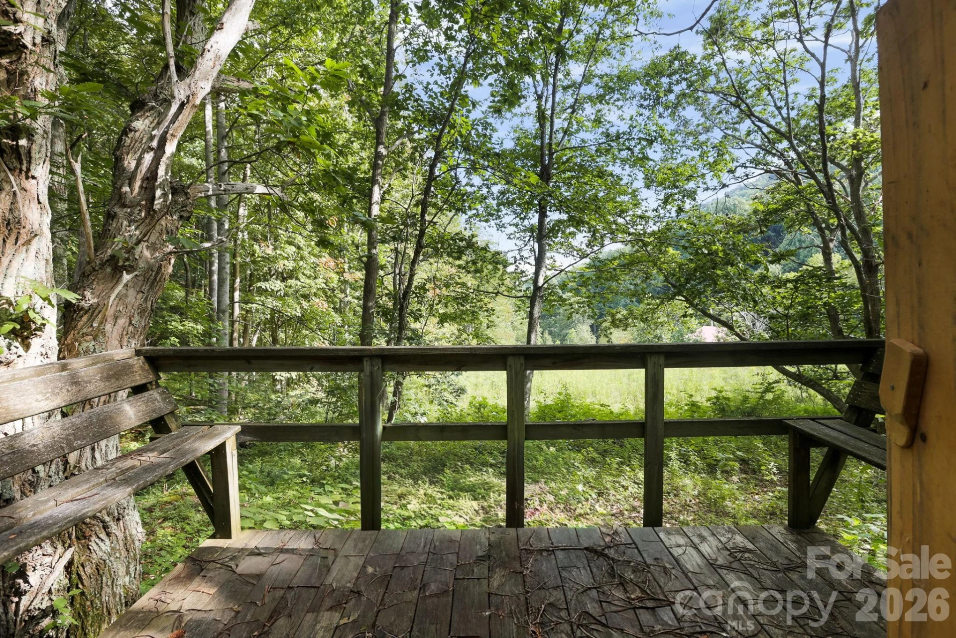 1545 North Fork Road - Photo 13