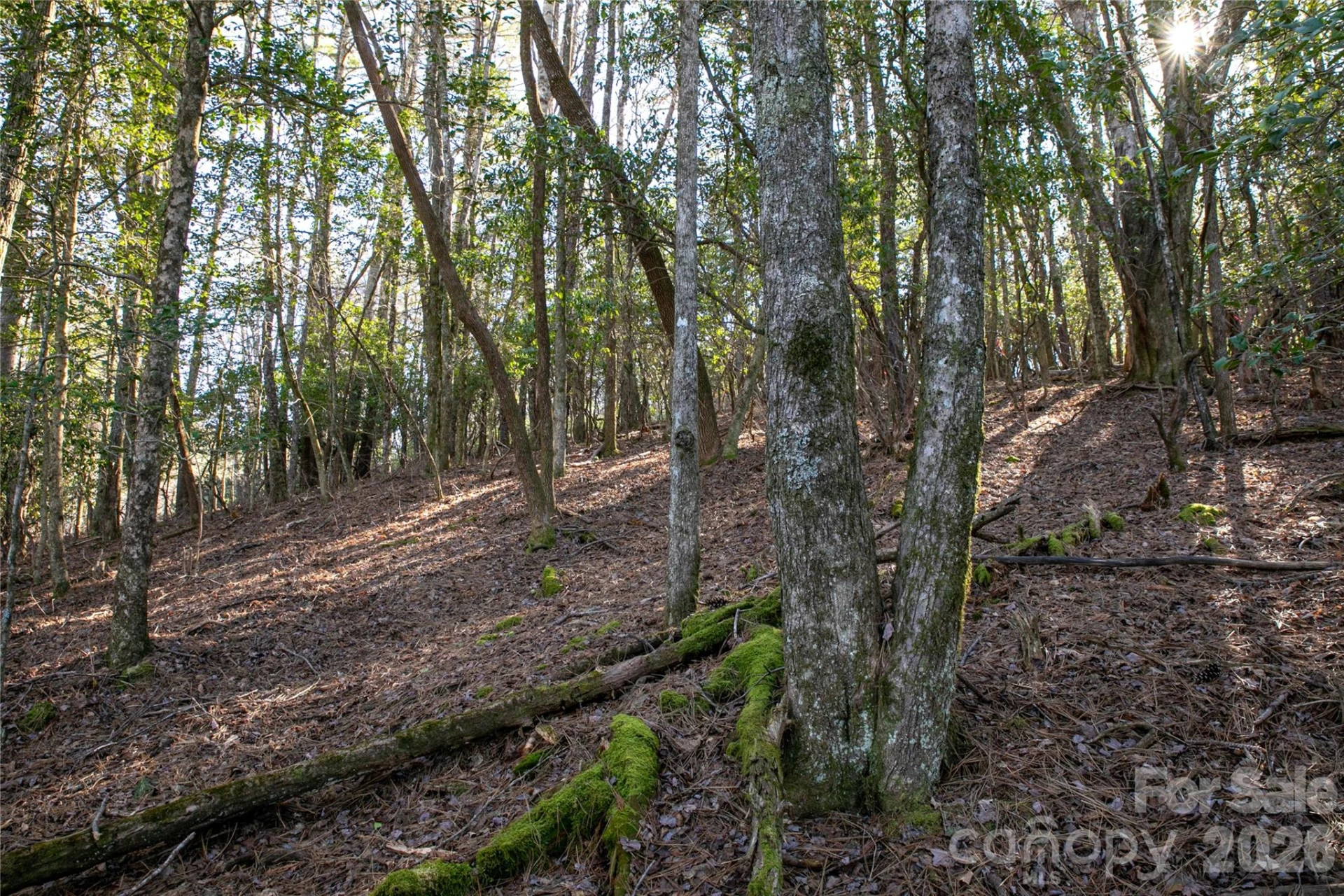 4583 Connestee Trail - Photo 44