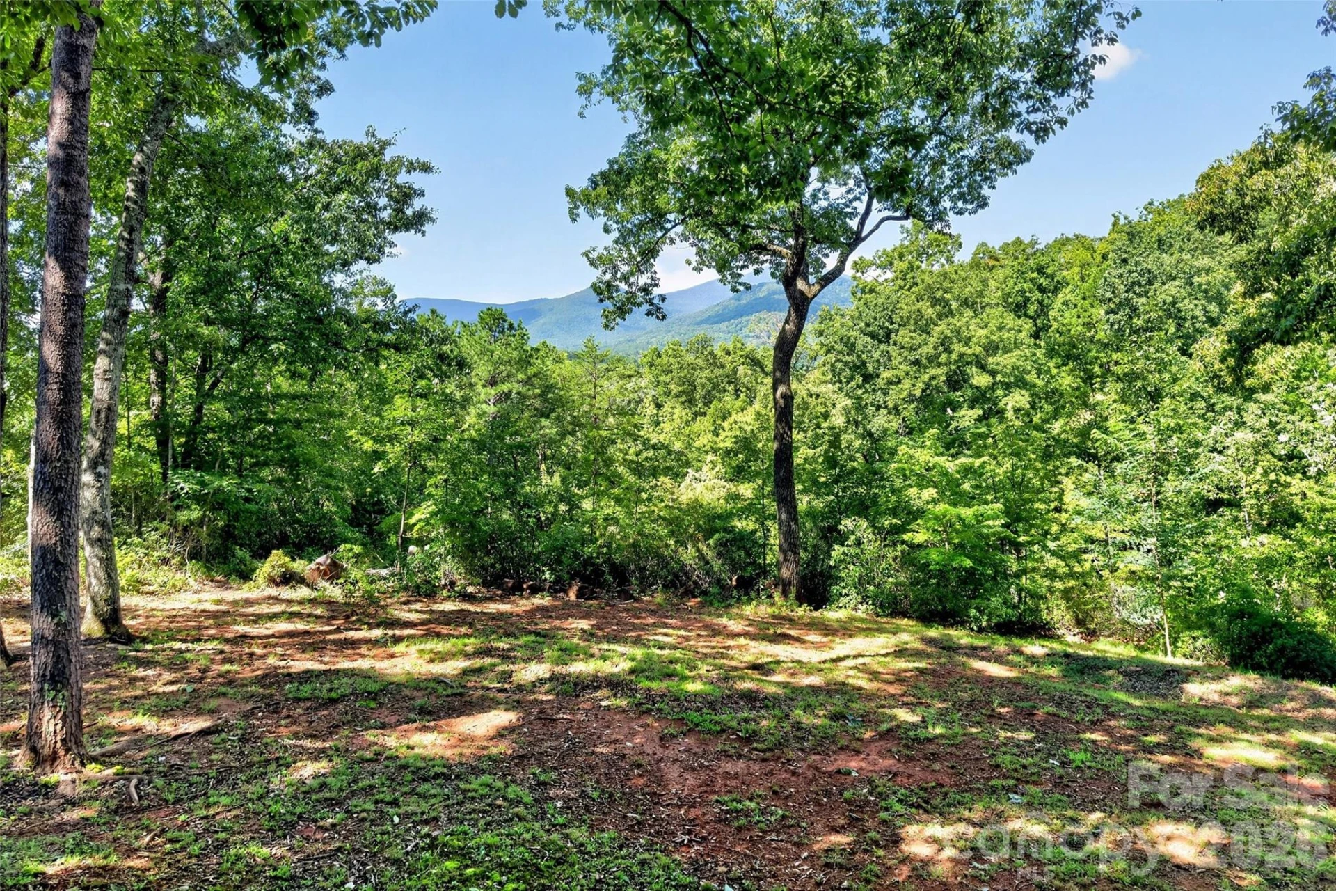128 Pearson Circle - Photo 24