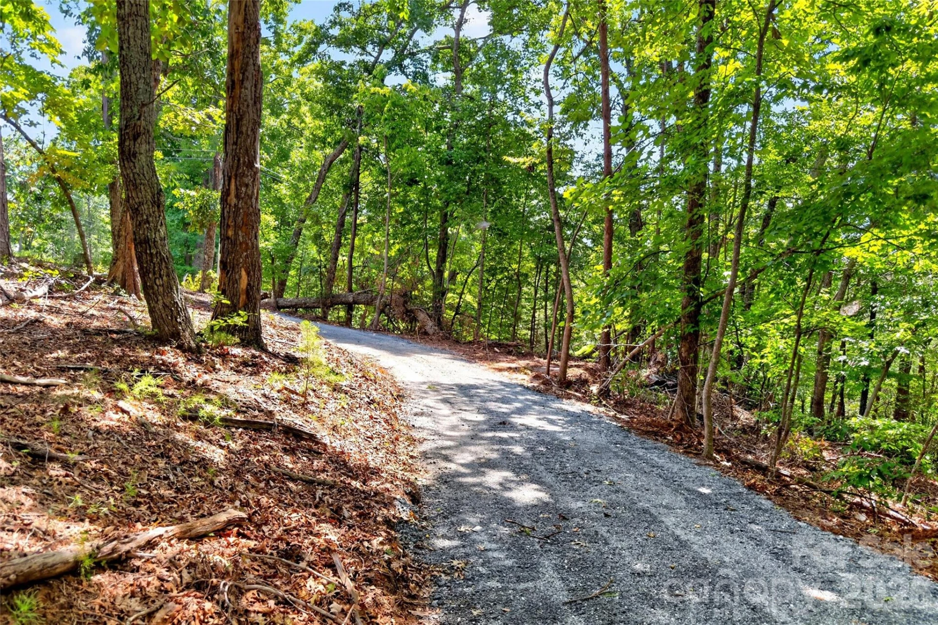 000 Buffalo Shoals Road - Photo 3