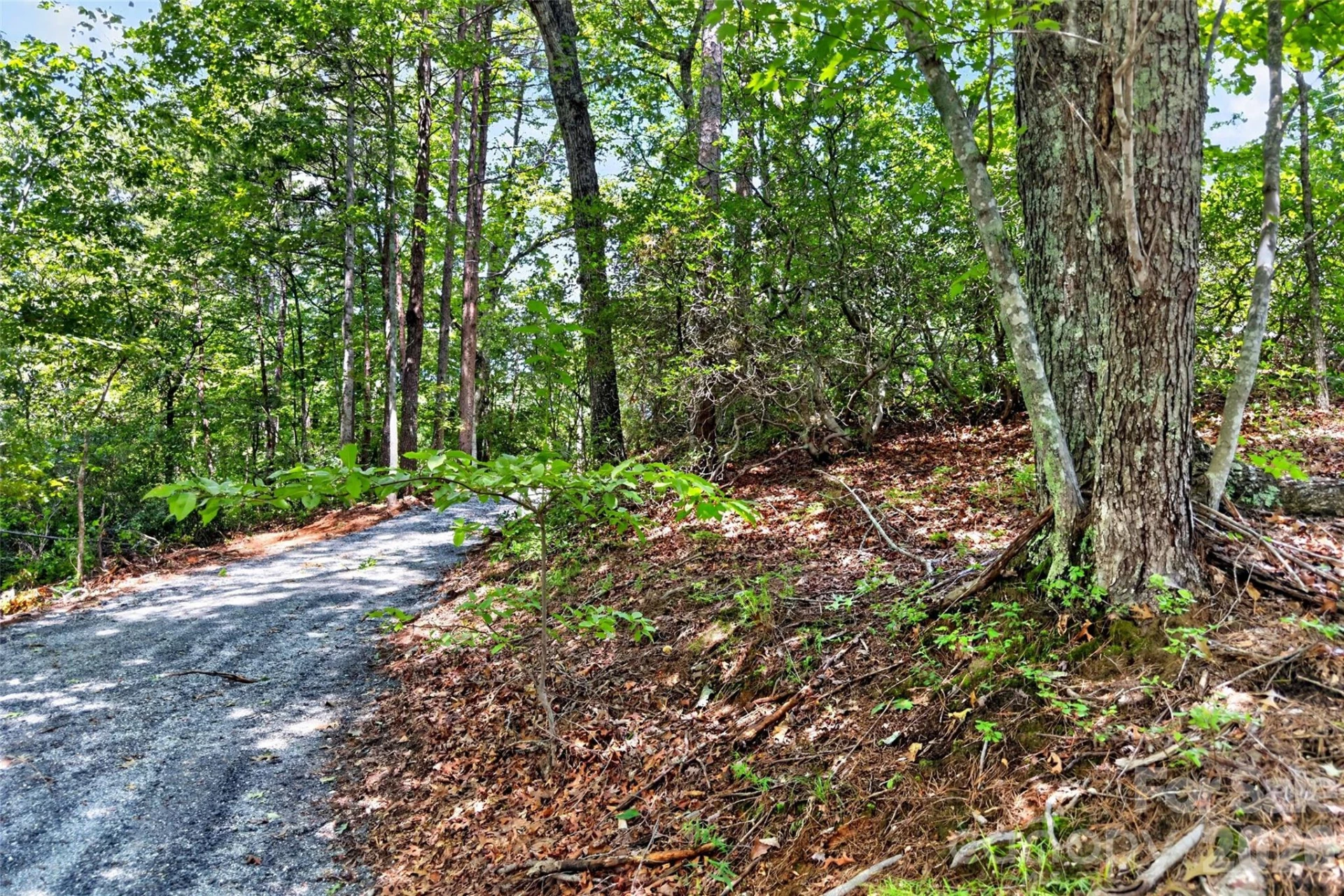 000 Buffalo Shoals Road - Photo 4