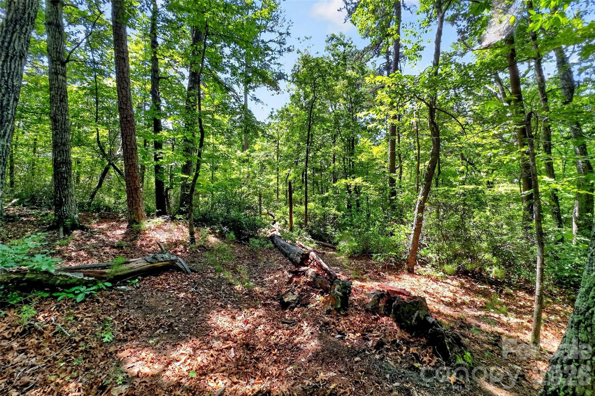 000 Buffalo Shoals Road - Photo 6