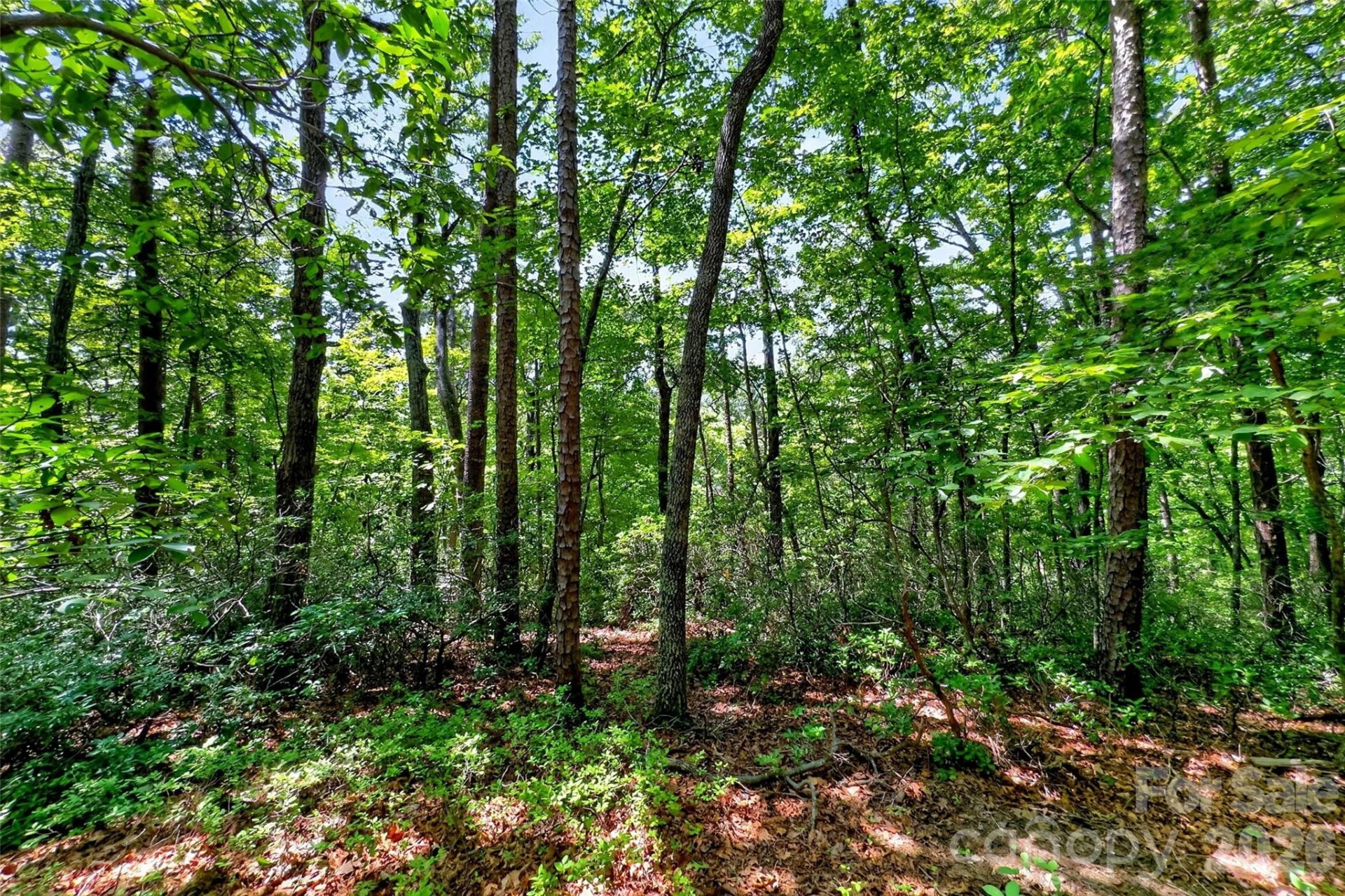 000 Buffalo Shoals Road - Photo 8