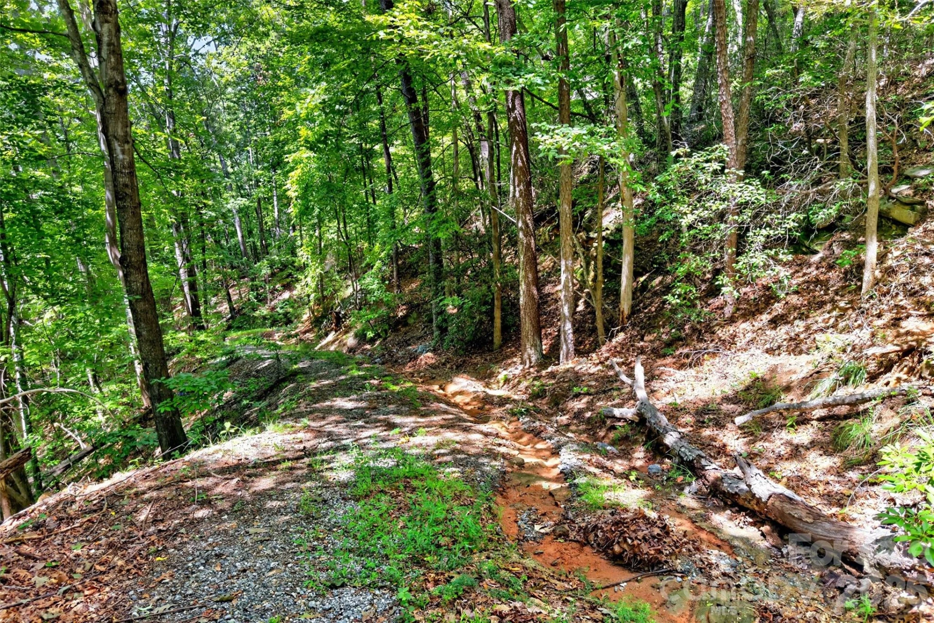 000 Buffalo Shoals Road - Photo 9