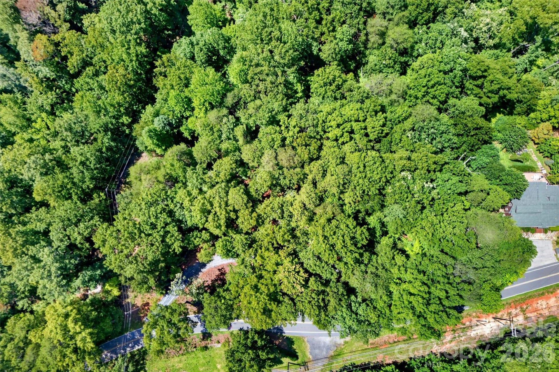 000 Buffalo Shoals Road - Photo 10