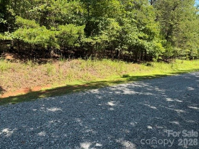00 Elliott Drive #51 - Photo 2